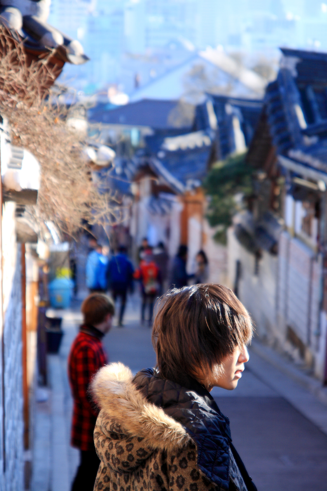 Sigma 17-70mm F2.8-4 DC Macro OS HSM sample photo. Street on korea photography