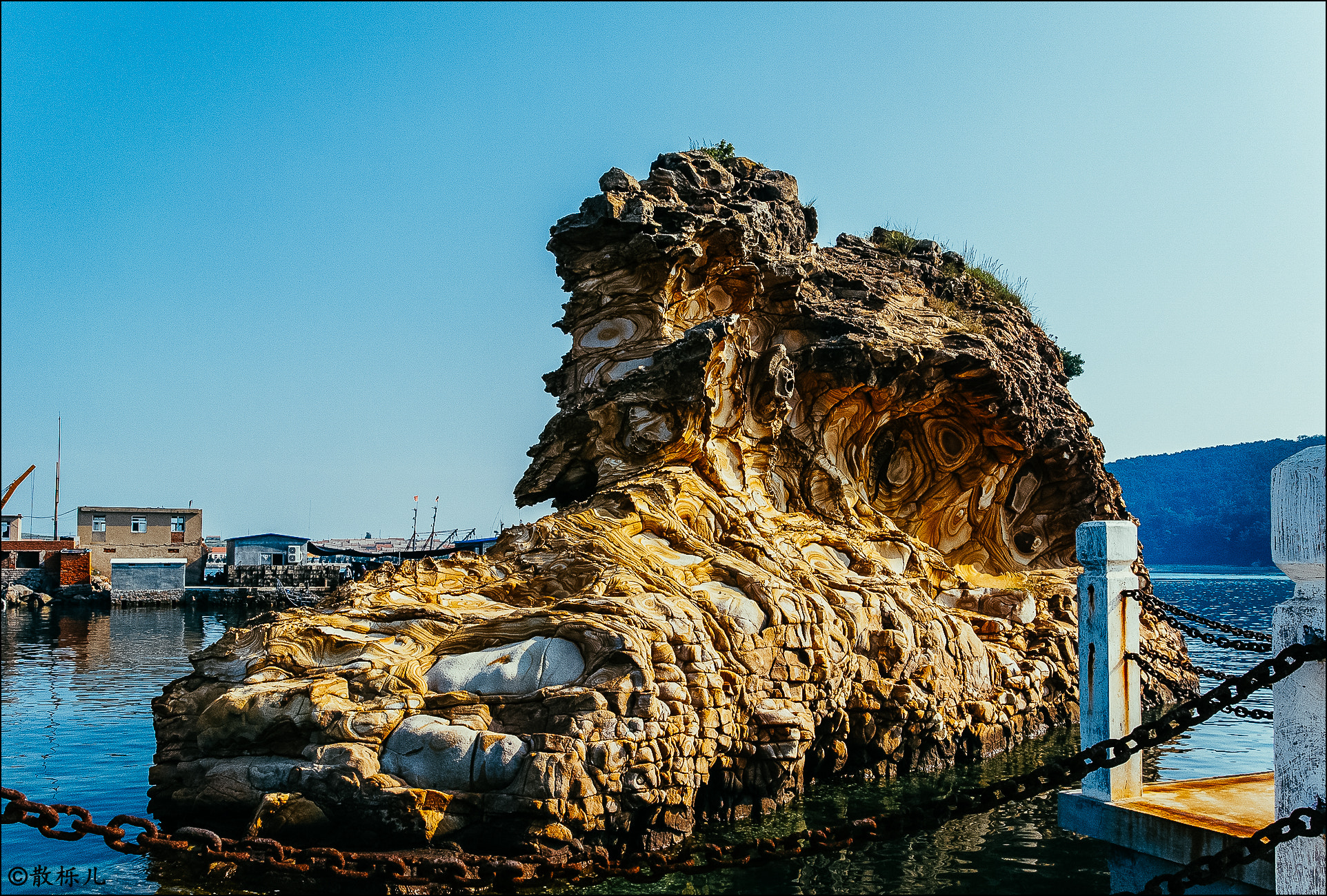 Nikon 1 Nikkor 11-27.5mm F3.5-5.6 sample photo. Gigantic tuff photography