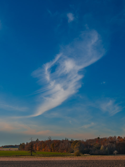 Panasonic Lumix DMC-GX7 + OLYMPUS DIGITAL 14-54mm Lens sample photo. A field and a cloud photography