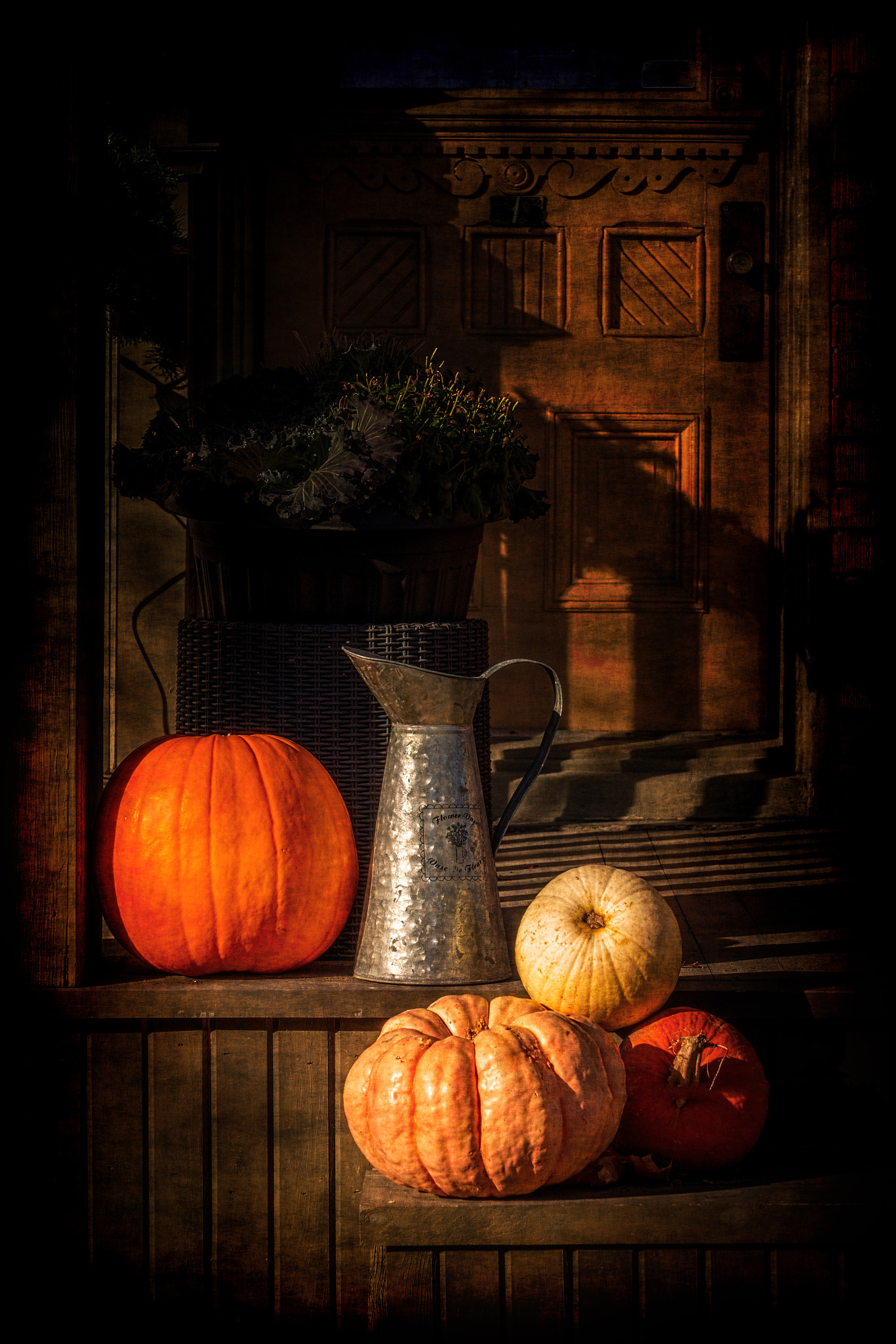 Sony E 55-210mm F4.5-6.3 OSS sample photo. Last autumn sunlight photography