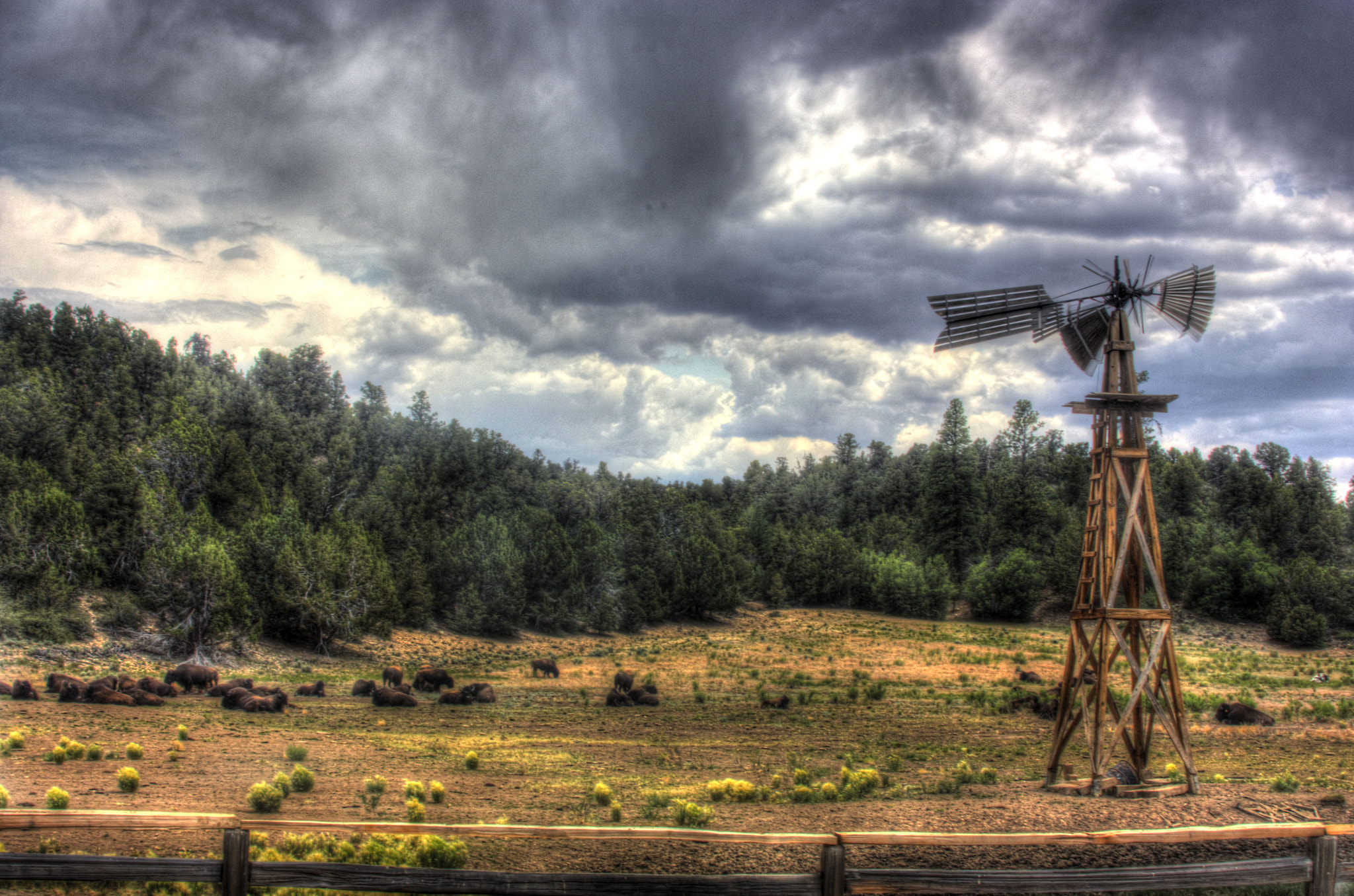 Canon EF 28-105mm f/3.5-4.5 USM sample photo. Tonemapped photography