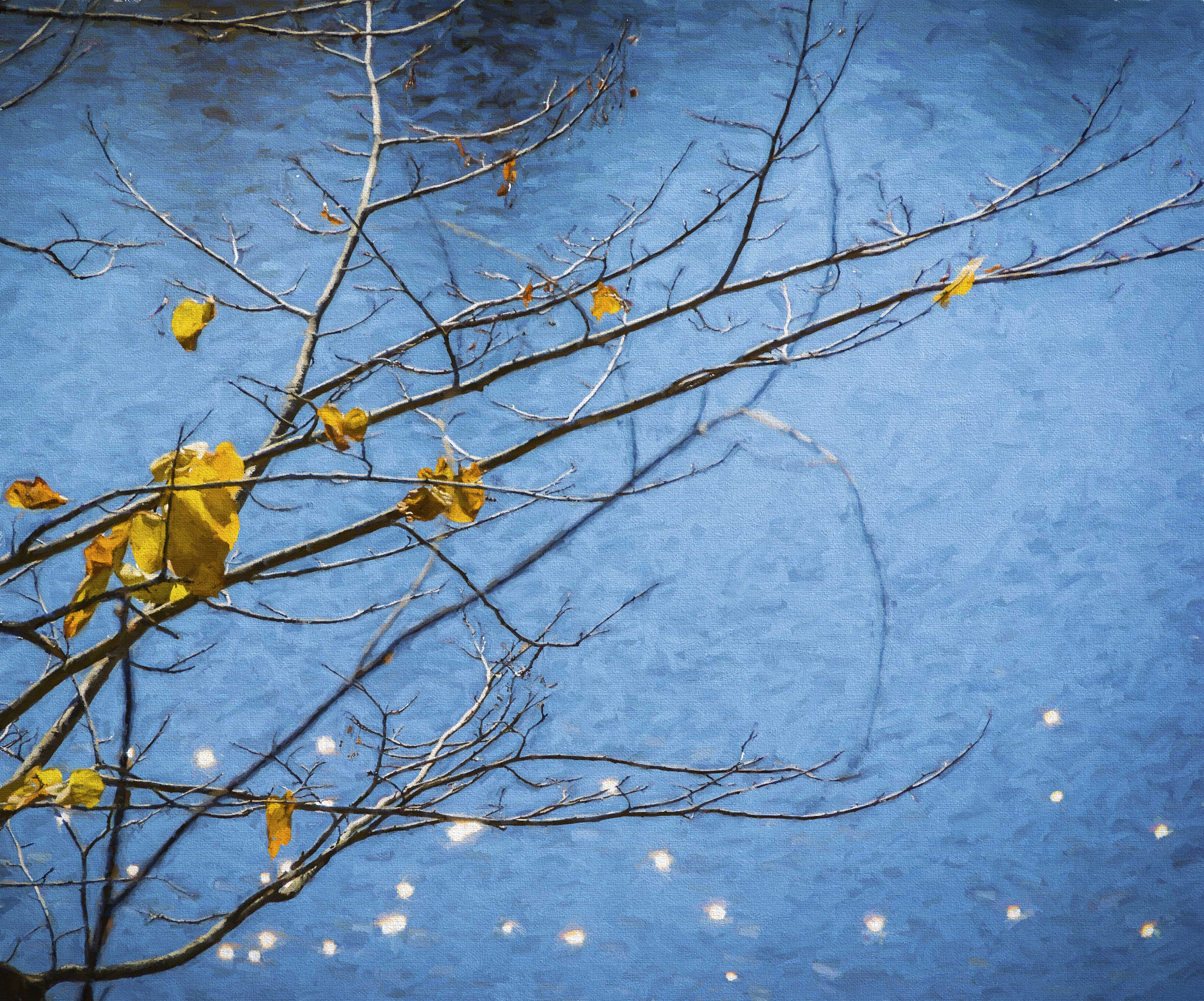 Sigma 18-250mm F3.5-6.3 DC OS HSM sample photo. Reflections... photography