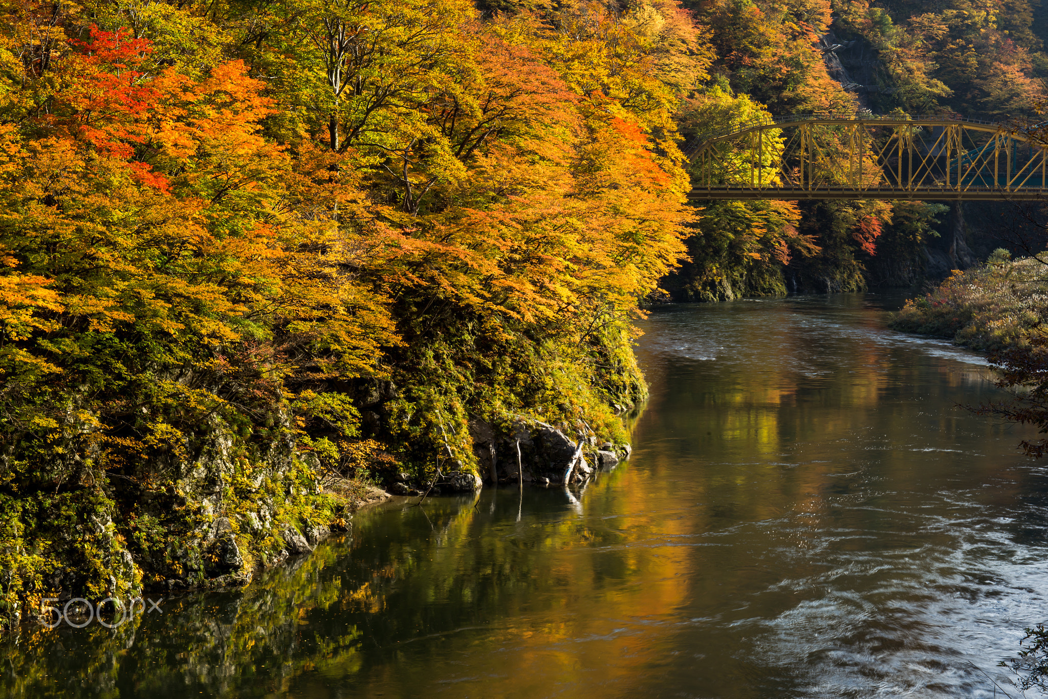 Turn orange, red, yellow