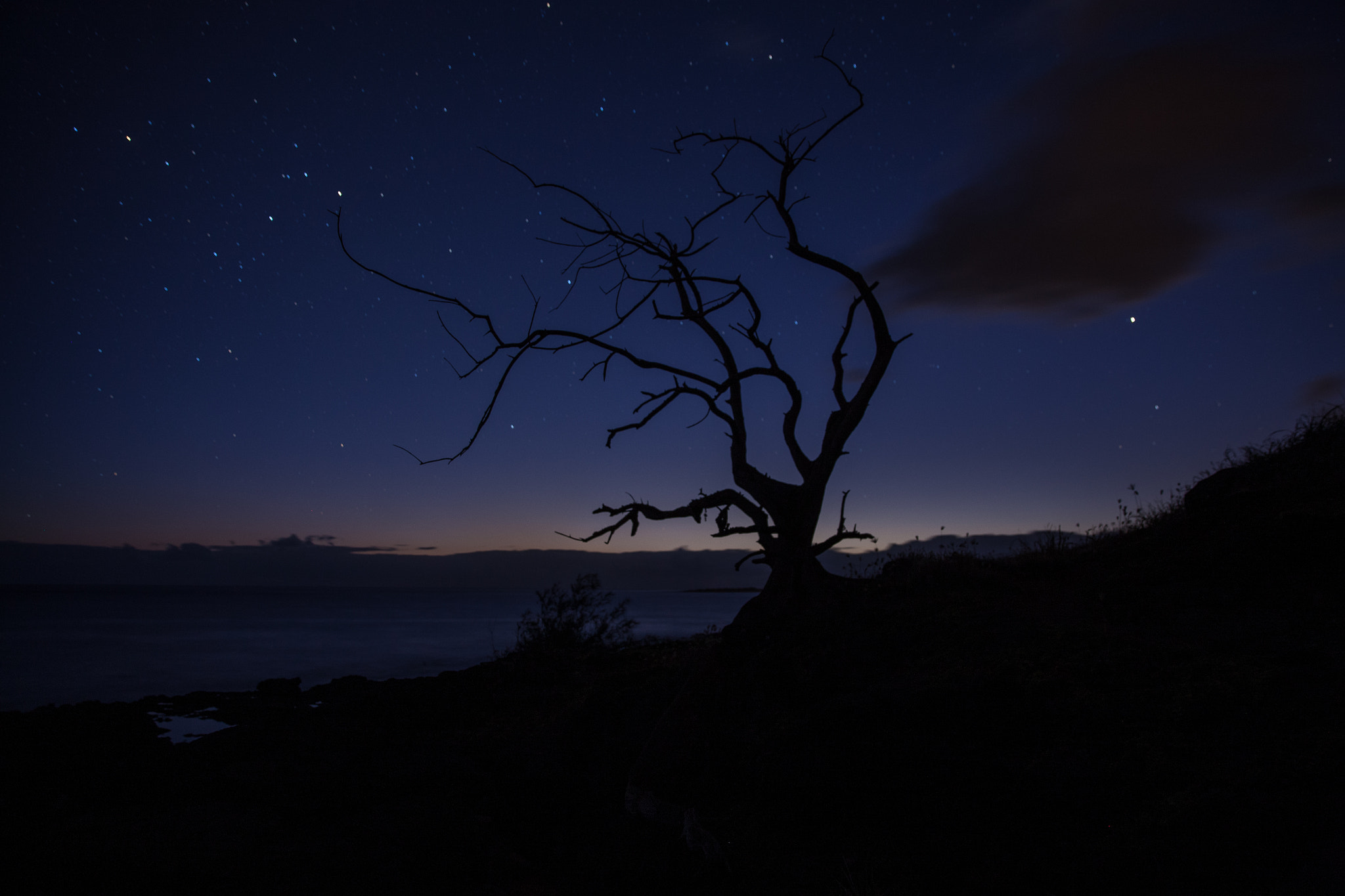 Canon EOS-1Ds Mark III sample photo. Kauai photography