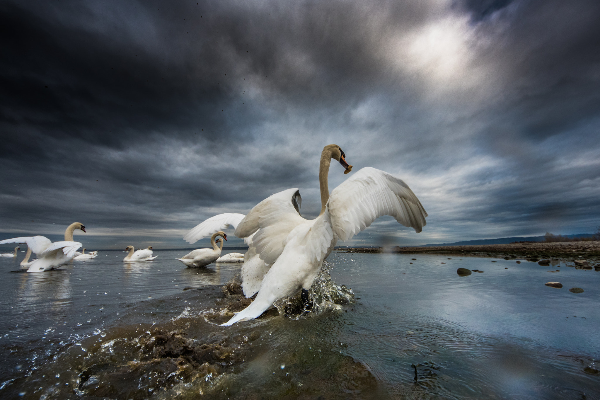 Sigma 8-16mm F4.5-5.6 DC HSM sample photo. Angeber photography