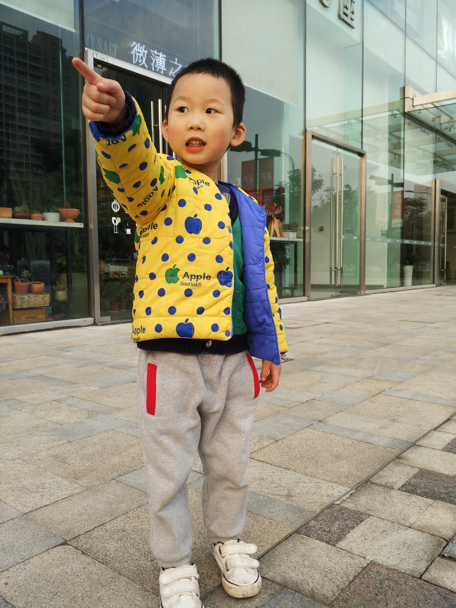 Xiaomi MI NOTE Pro sample photo