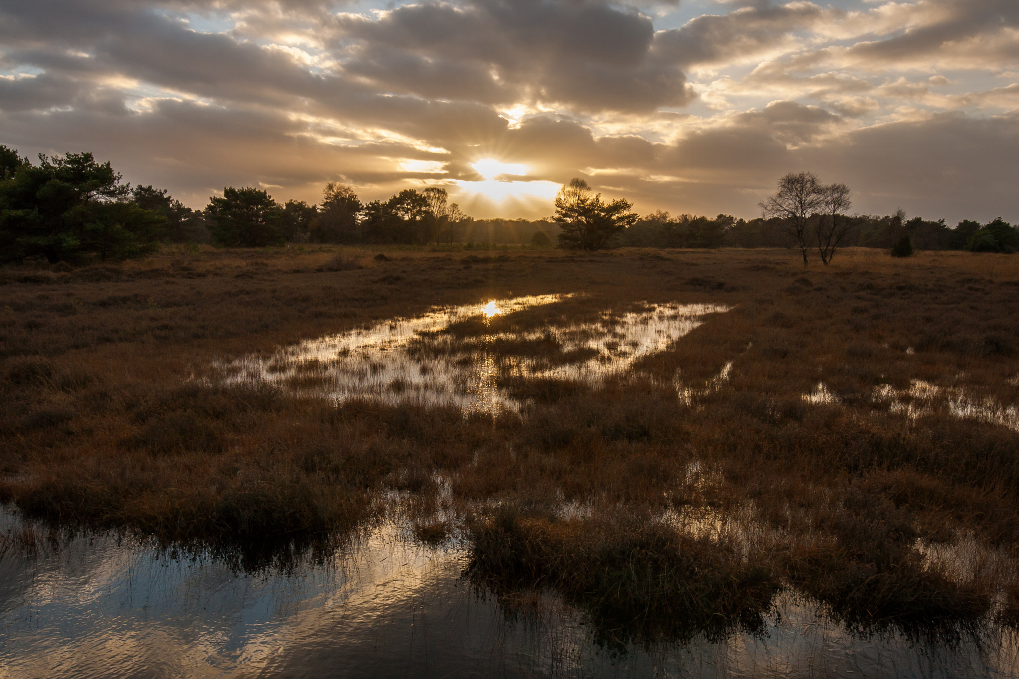 Canon EOS 1000D (EOS Digital Rebel XS / EOS Kiss F) sample photo. "sunset in the moor" photography