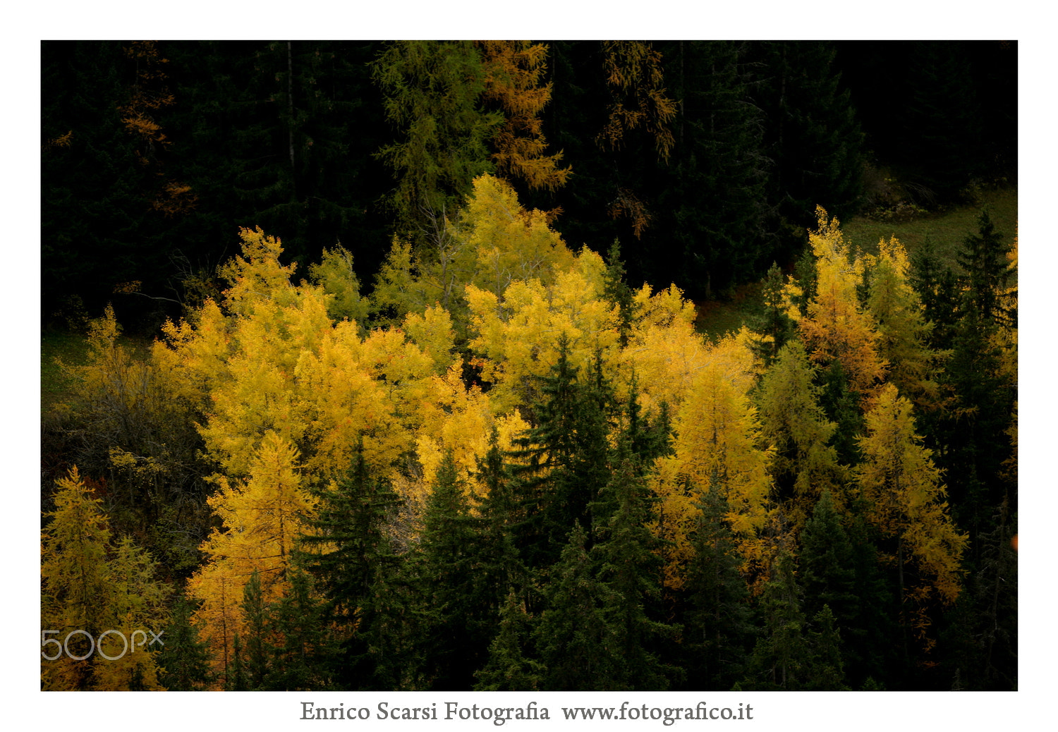 Canon EF 35-350mm F3.5-5.6L USM sample photo. Fotografo torino enrico scarsi photography