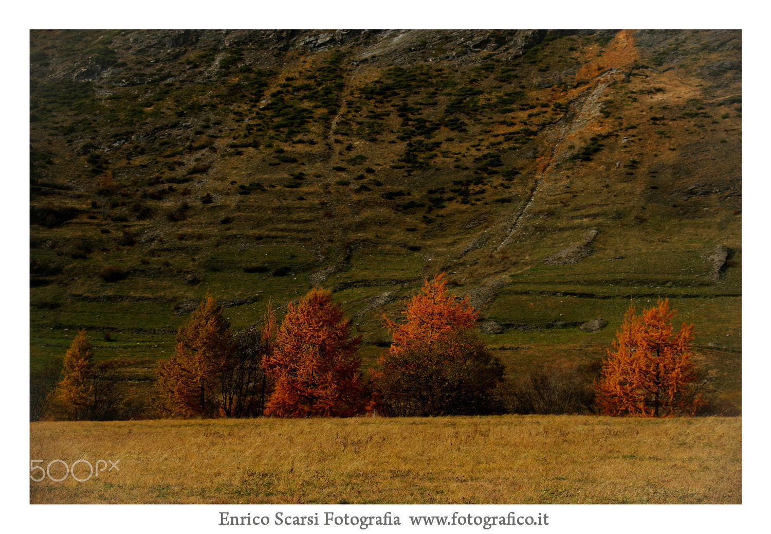 Canon EF 35-350mm F3.5-5.6L USM sample photo. Fotografo torino enrico scarsi photography