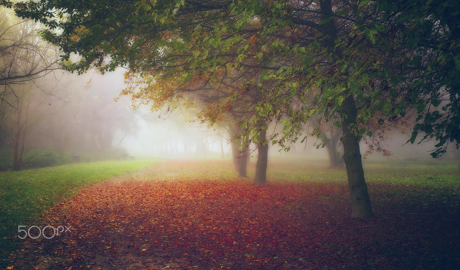 Sony Alpha DSLR-A900 + Tamron SP 24-70mm F2.8 Di VC USD sample photo. Autumn photography