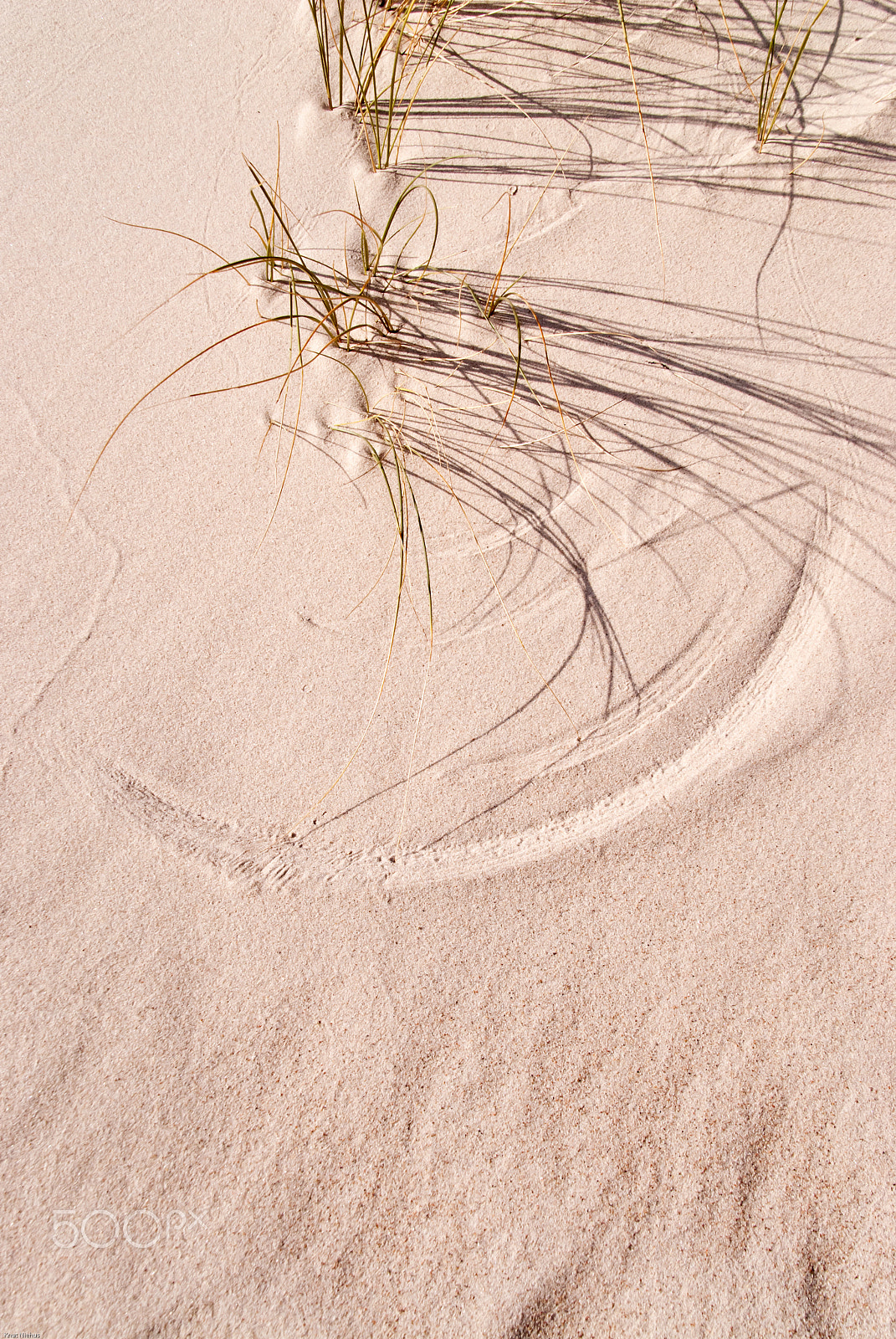 Sigma 18-200mm F3.5-6.3 DC OS HSM sample photo. Detail of a sandy dune photography