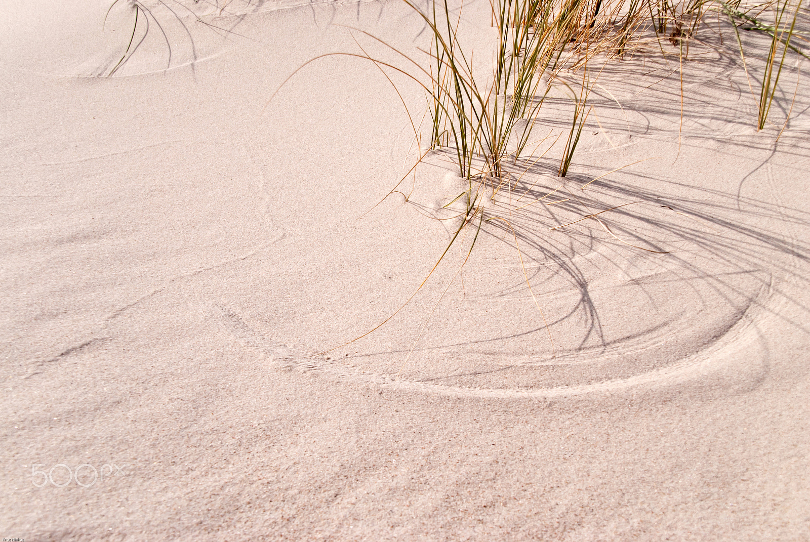 Sigma 18-200mm F3.5-6.3 DC OS HSM sample photo. Dune photography