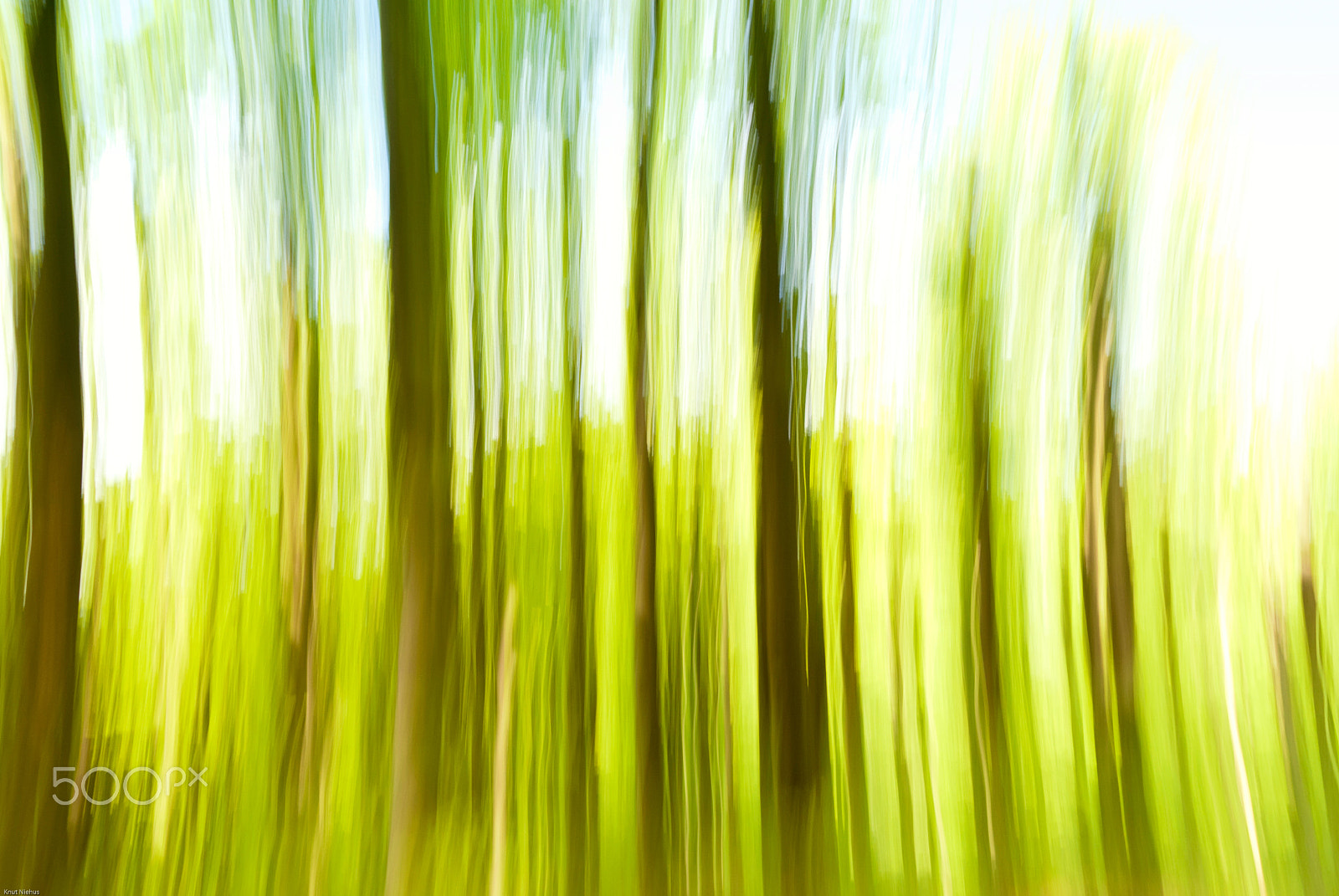 Sigma 18-200mm F3.5-6.3 DC OS HSM sample photo. Blurred trees photography