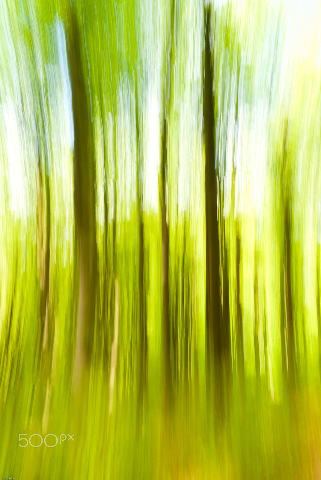 Sigma 18-200mm F3.5-6.3 DC OS HSM sample photo. Blurred trees photography
