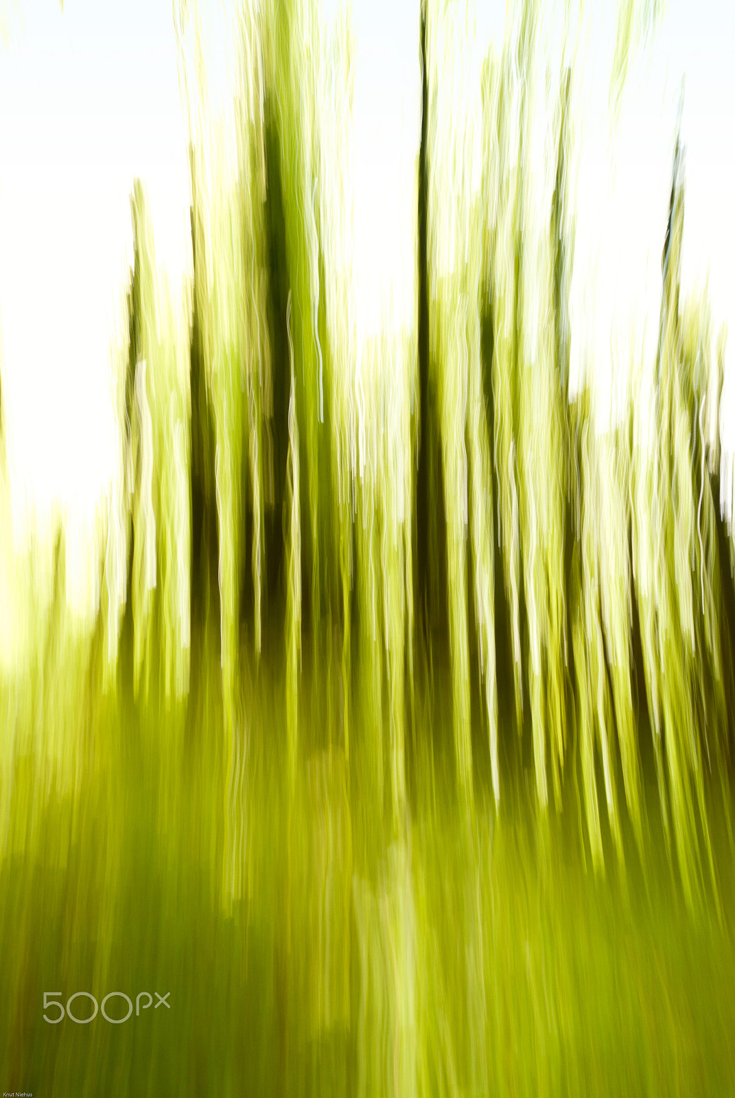 Sigma 18-200mm F3.5-6.3 DC OS HSM sample photo. Blurred trees photography