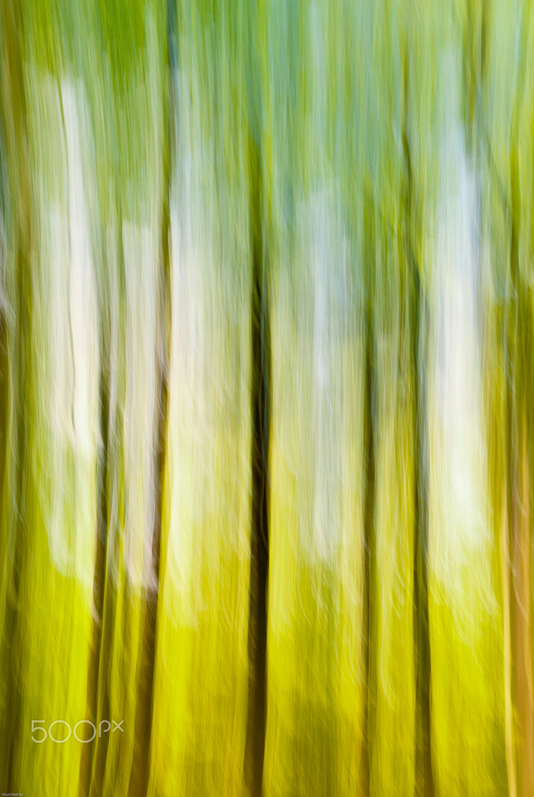 Sigma 18-200mm F3.5-6.3 DC OS HSM sample photo. Blurred trees photography