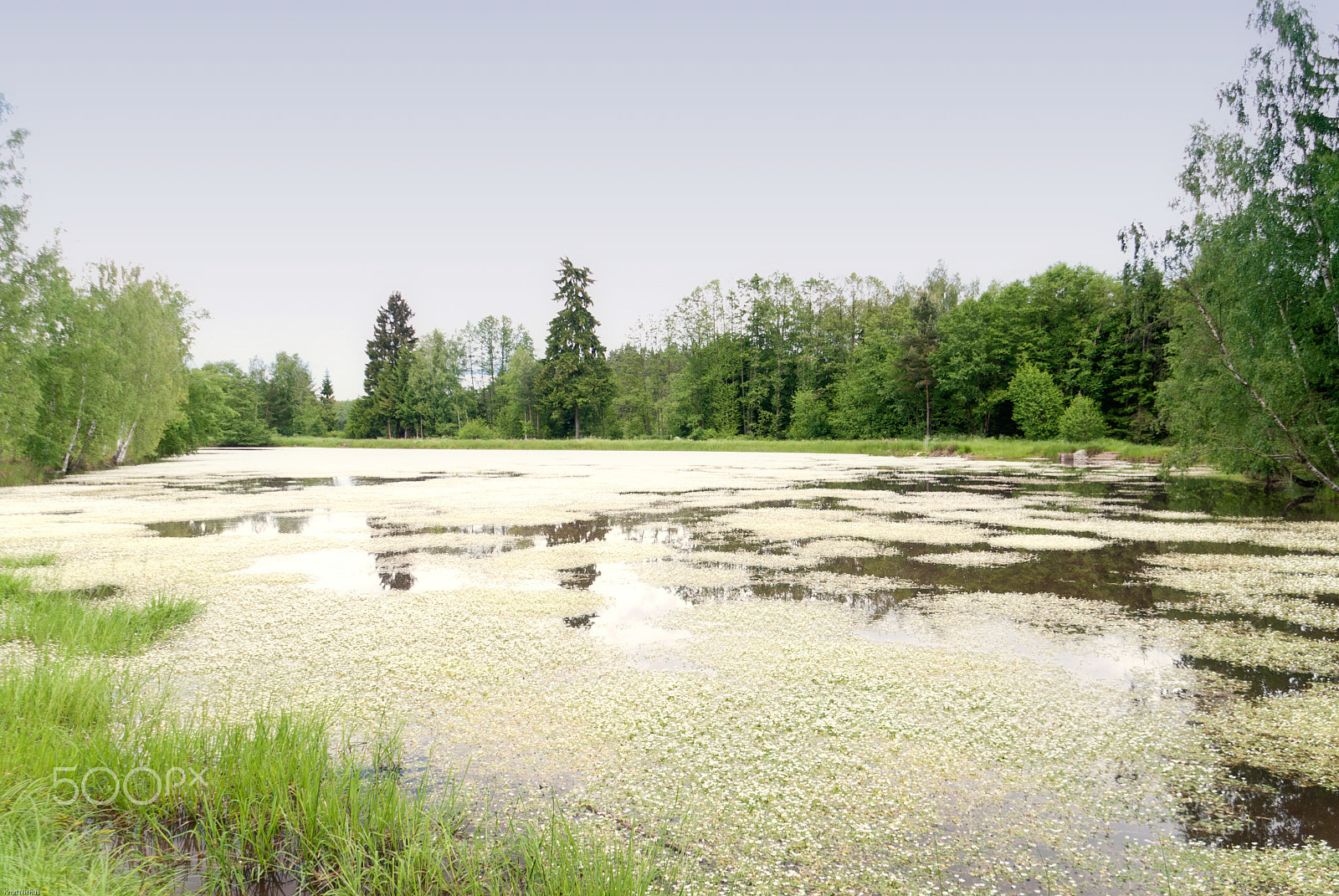 Sigma 18-200mm F3.5-6.3 DC OS HSM sample photo. Lake in upper palatinate, germany photography