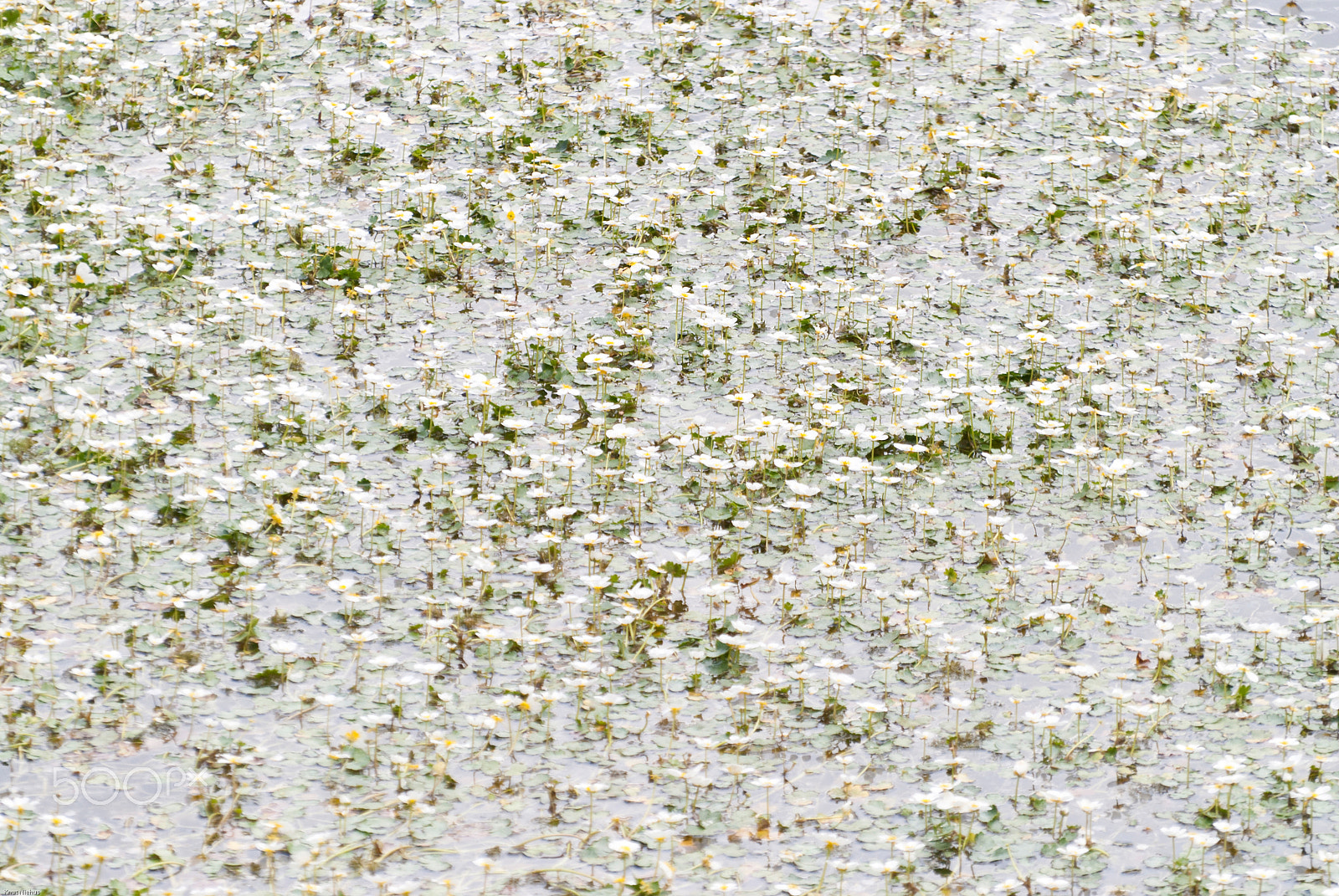 Sigma 18-200mm F3.5-6.3 DC OS HSM sample photo. Lake in upper palatinate, germany photography