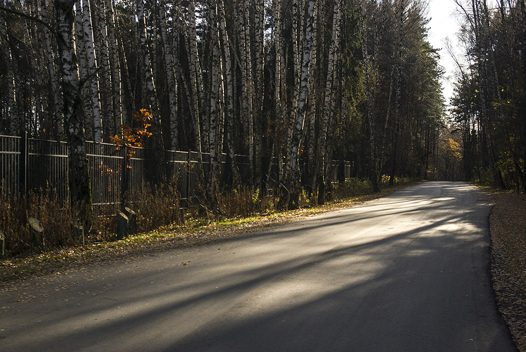 Pentax smc DA 18-55mm F3.5-5.6 ED AL II (IF) sample photo. Autumn road. photography