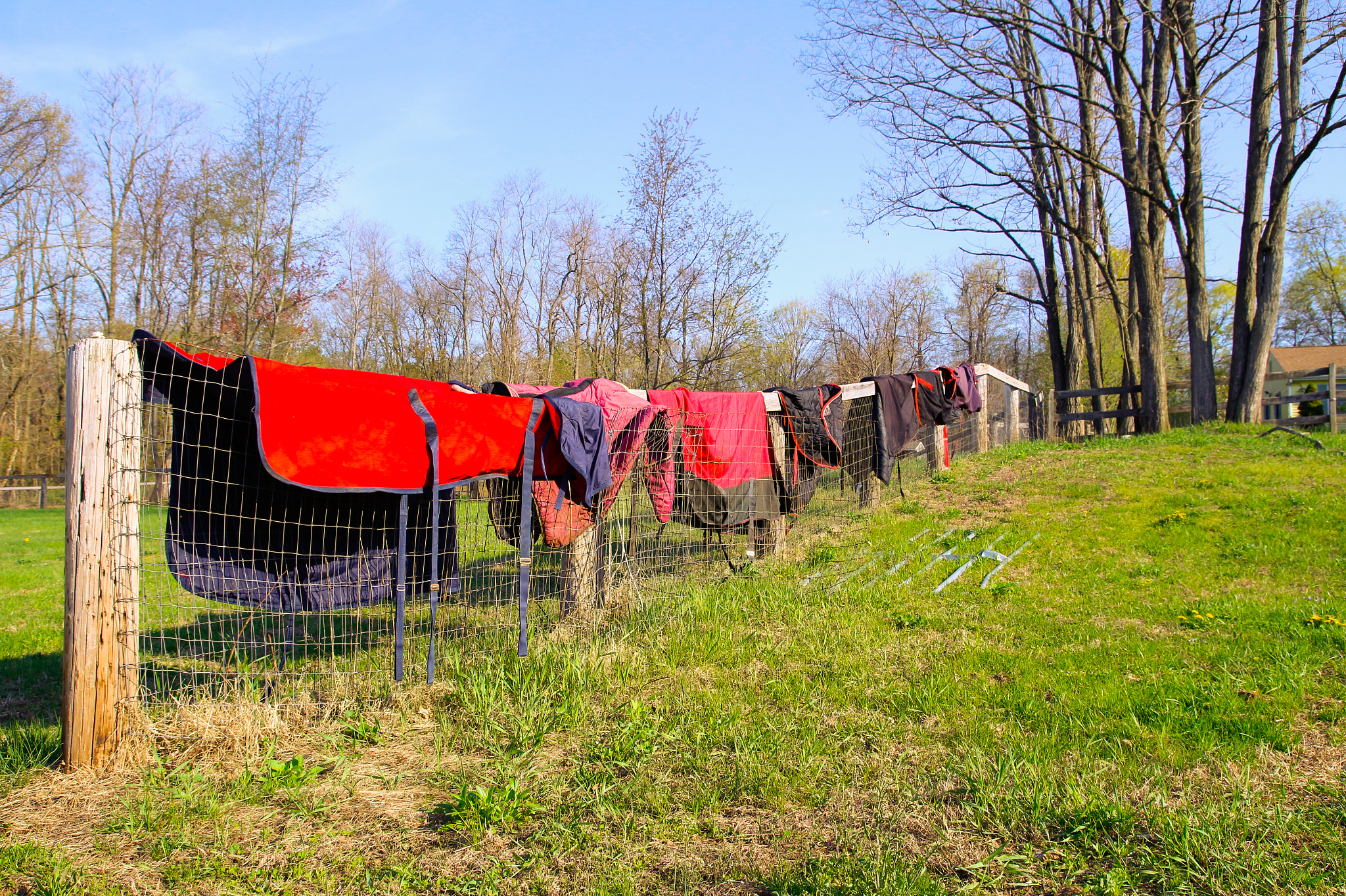 Canon EOS 700D (EOS Rebel T5i / EOS Kiss X7i) + Tamron SP AF 17-50mm F2.8 XR Di II LD Aspherical (IF) sample photo. Laundry day at the barn photography