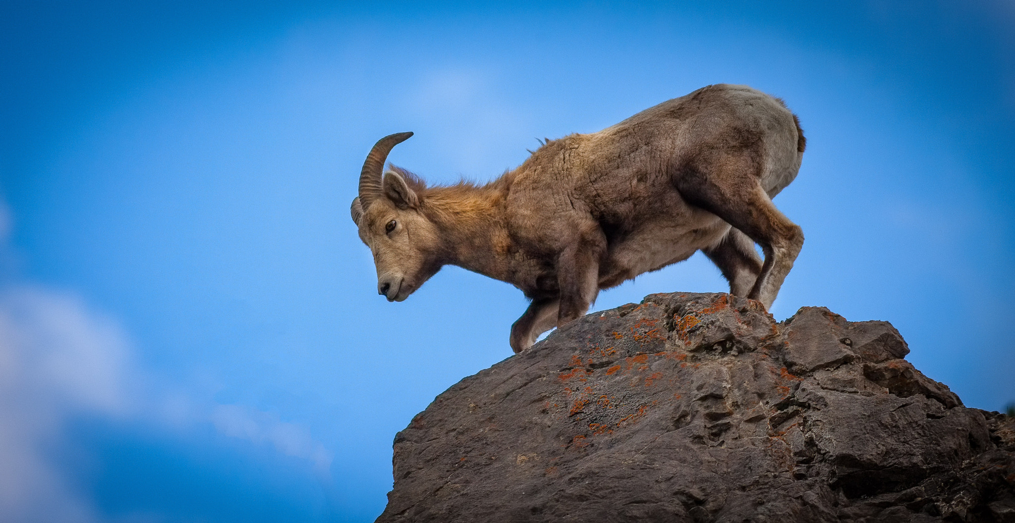 Canon EOS 5D Mark II + Canon EF 400mm F5.6L USM sample photo. Friday!! photography