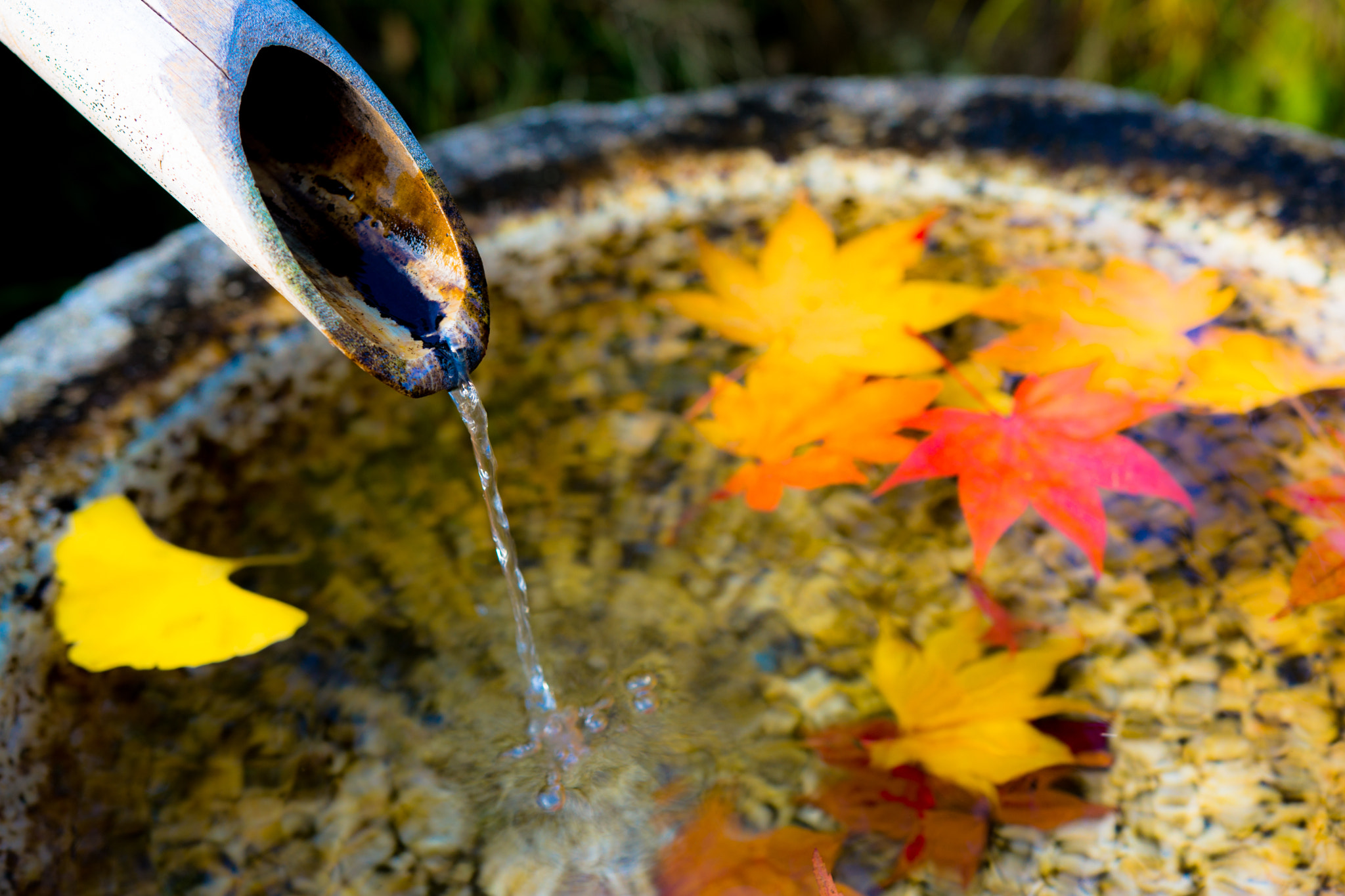 Sony SLT-A77 + Sigma 18-35mm F1.8 DC HSM Art sample photo. Autumn photography