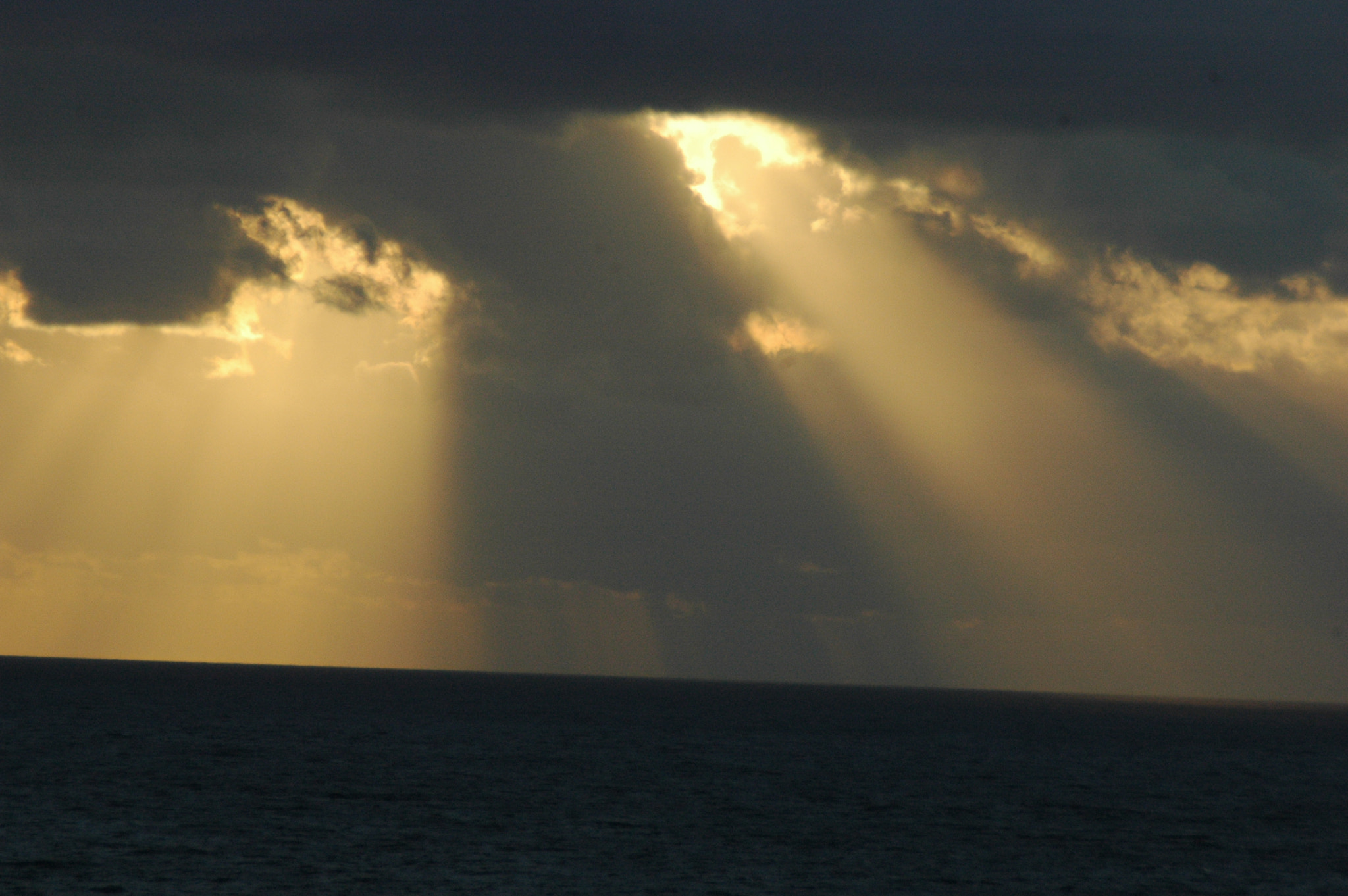 Nikon D70s sample photo. Astorm is in the brew photography