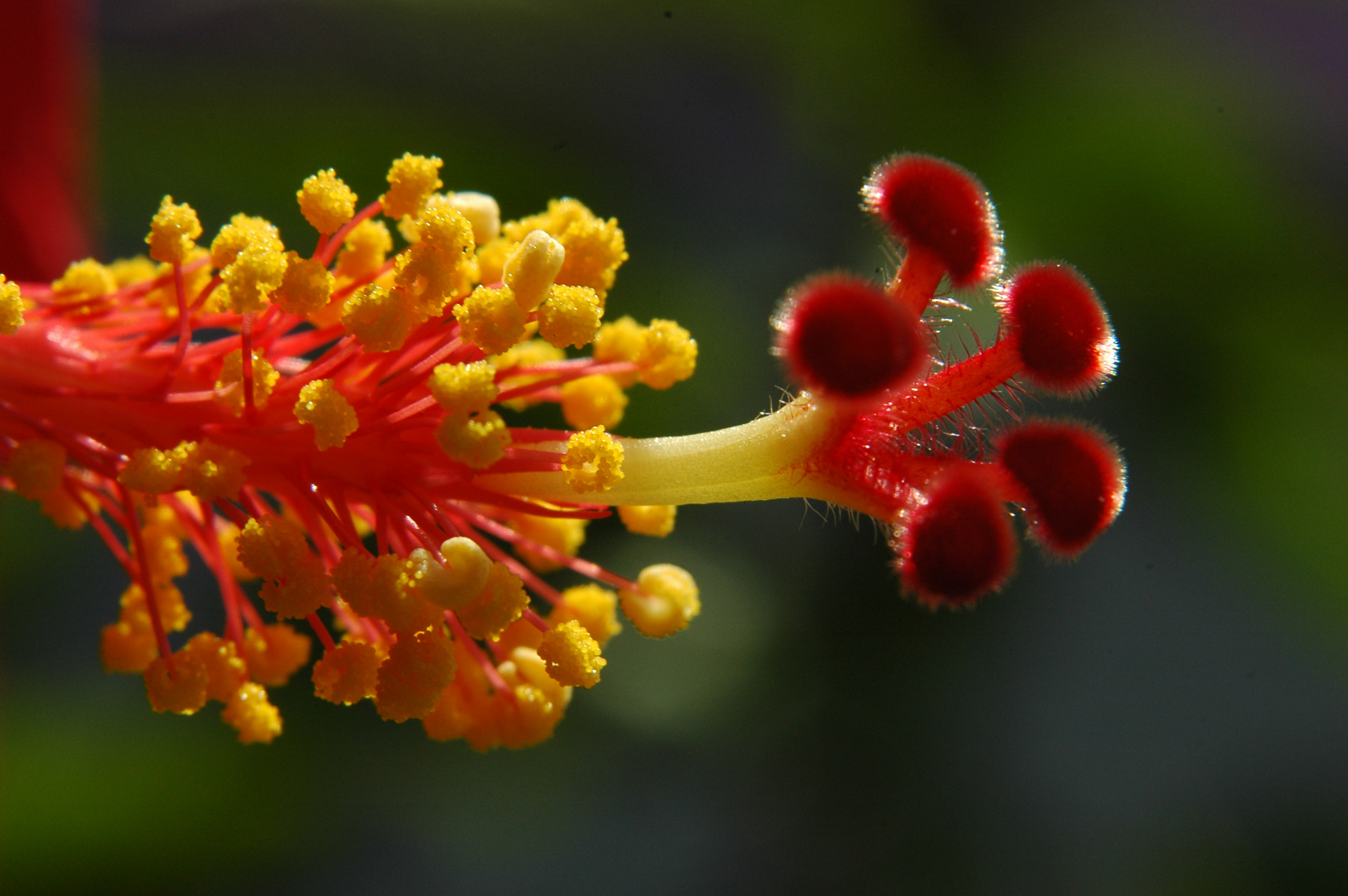 Nikon AF Nikkor 24-85mm F2.8-4D IF sample photo