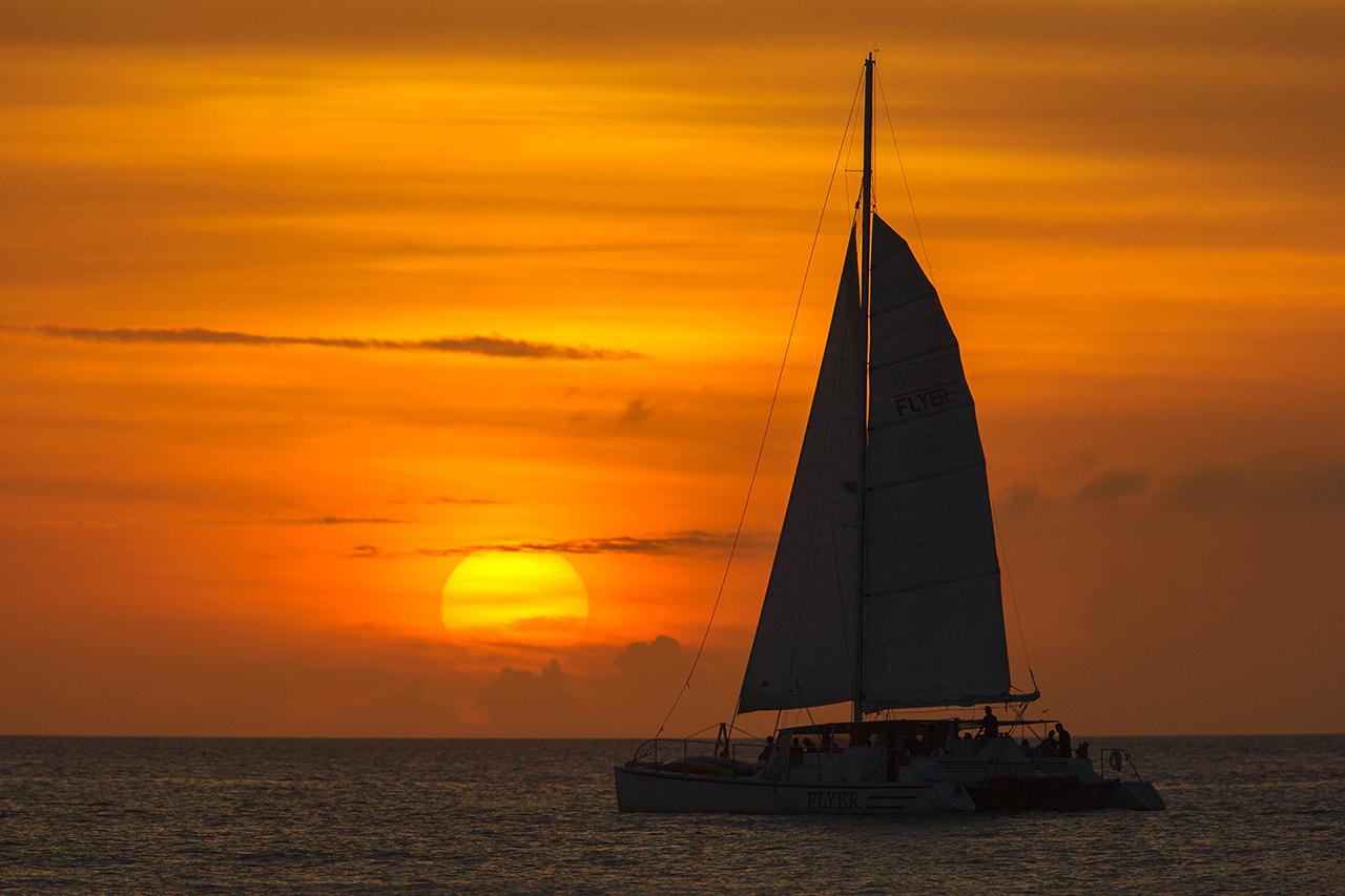 Canon EF 300mm F2.8L IS II USM sample photo. Magic moment photography