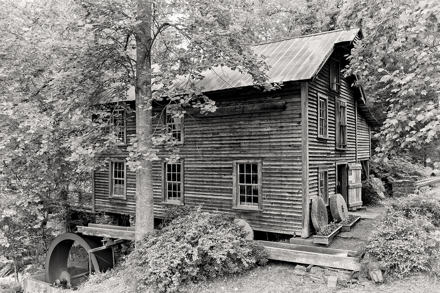 Nikon D3X sample photo. Ole gilliam mill photography
