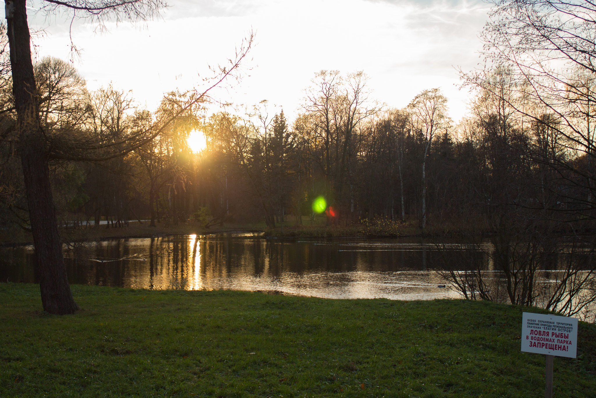 Canon EOS 650D (EOS Rebel T4i / EOS Kiss X6i) + Canon EF 28mm F2.8 sample photo. Quiet place in the city photography