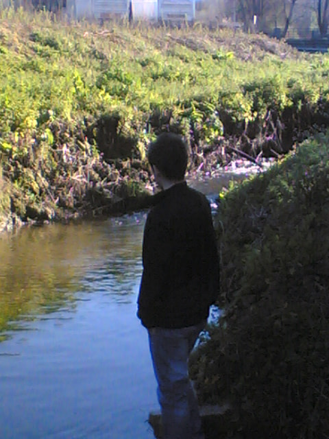Nokia 6630 sample photo. Img() photography