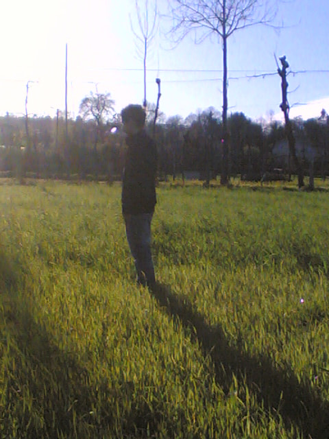 Nokia 6630 sample photo. Img() photography