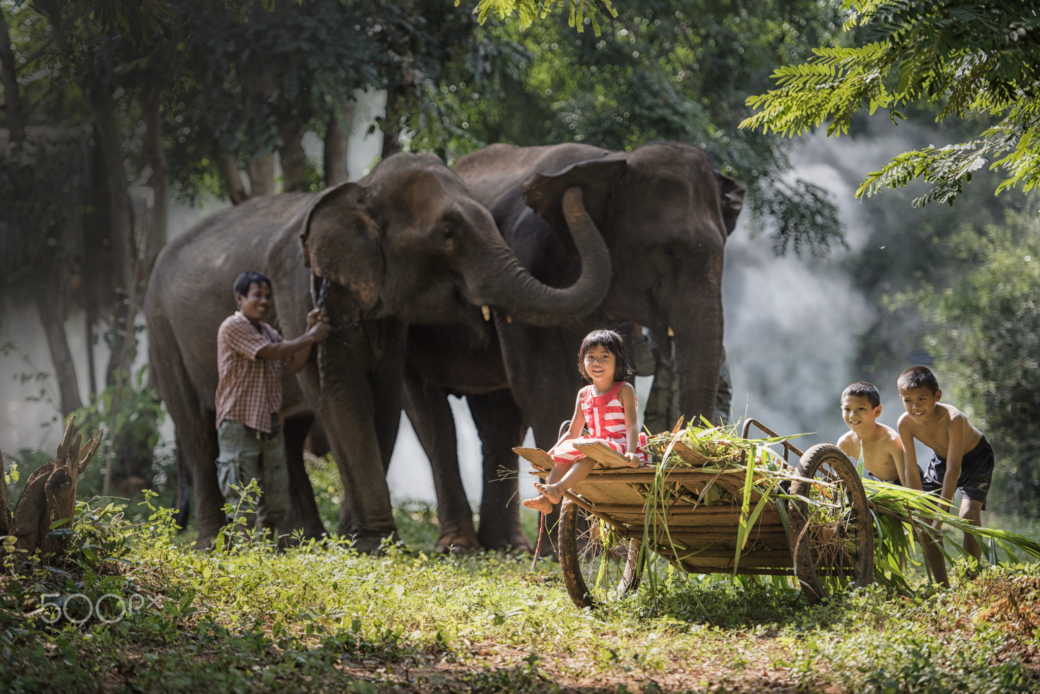 Elephant with children