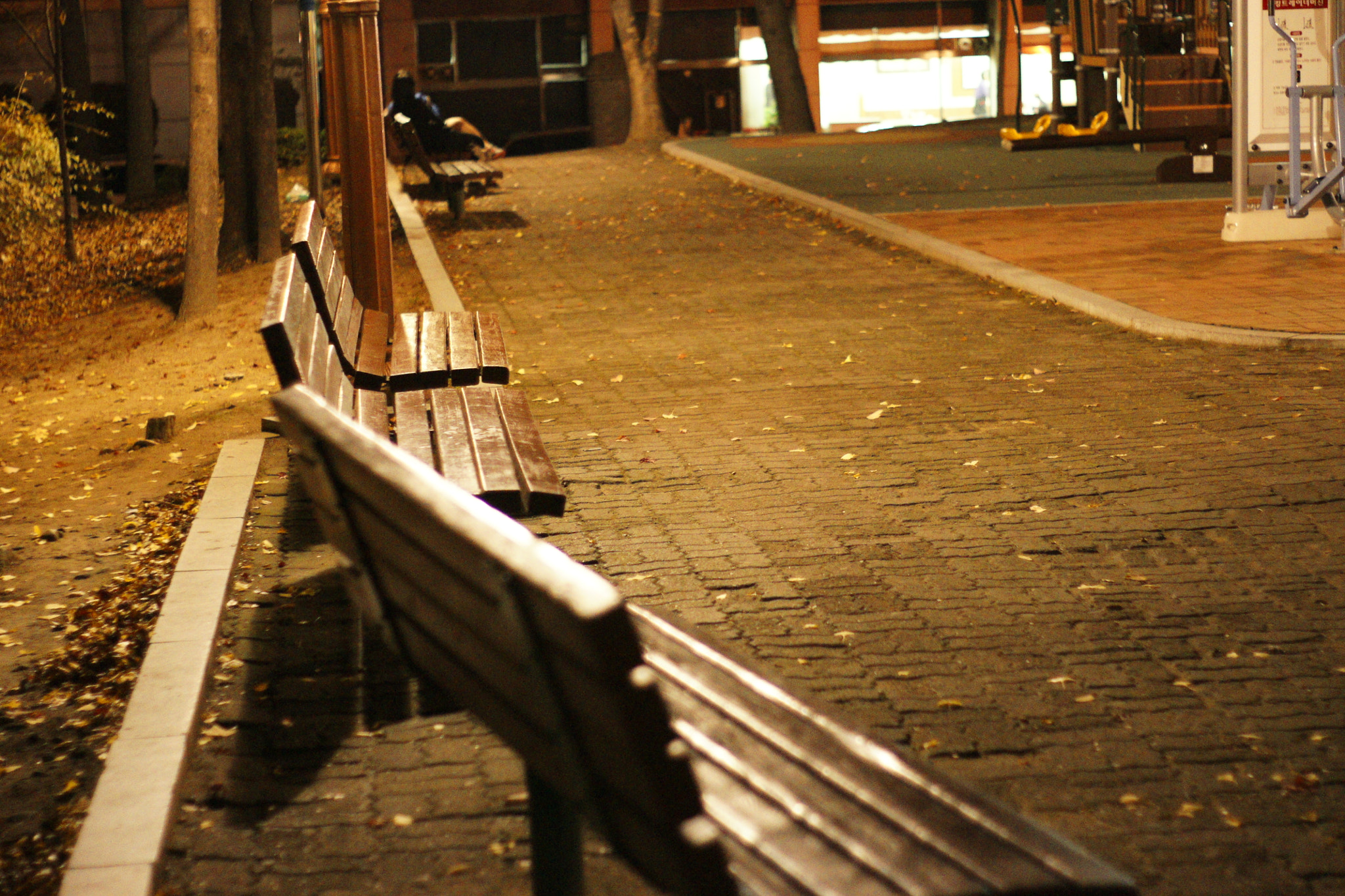 Sony Alpha DSLR-A700 + Minolta AF 50mm F1.7 sample photo. Alone photography