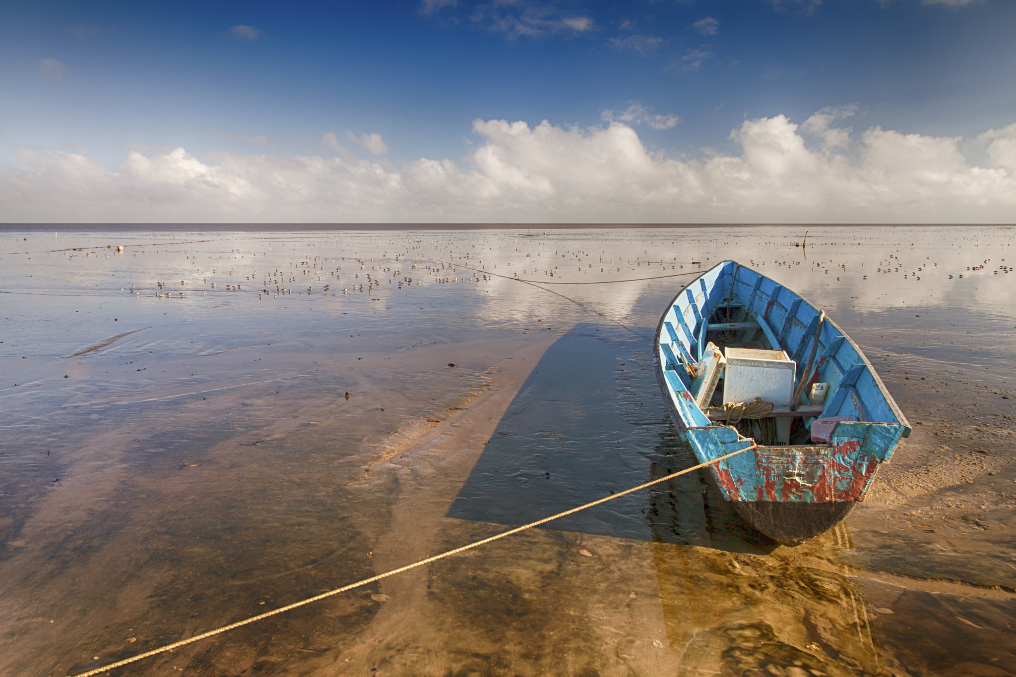 Sigma 28mm f/1.8 DG Macro EX sample photo. Pirogue en guyane photography