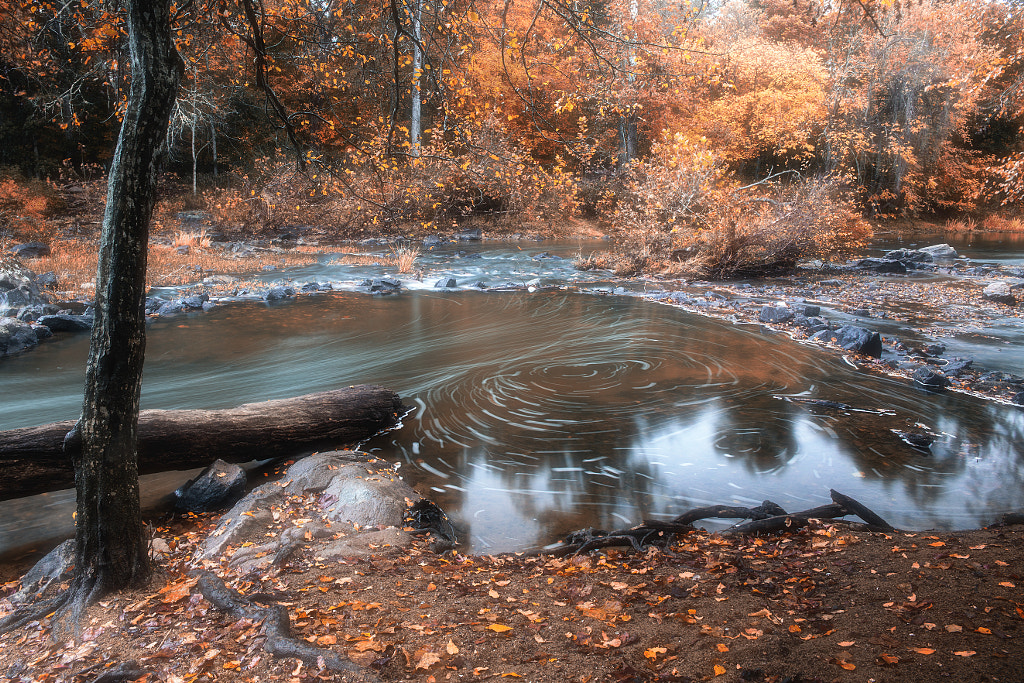 Autumn Swirling by Inho Kang on 500px.com