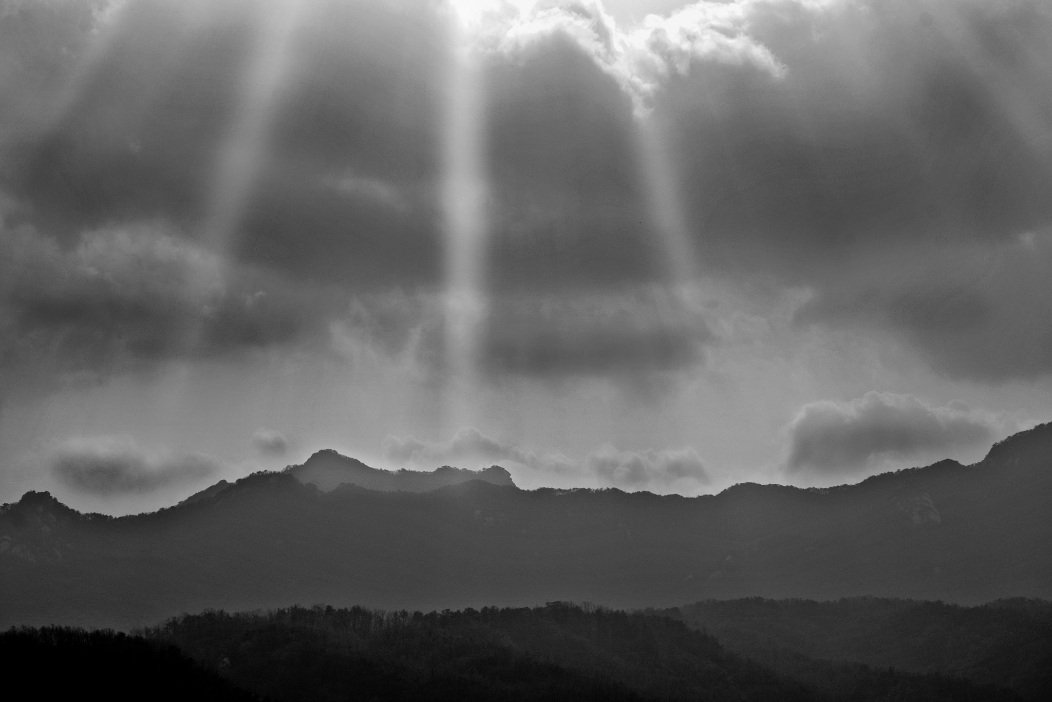 Pentax K100D sample photo. As smart object photography