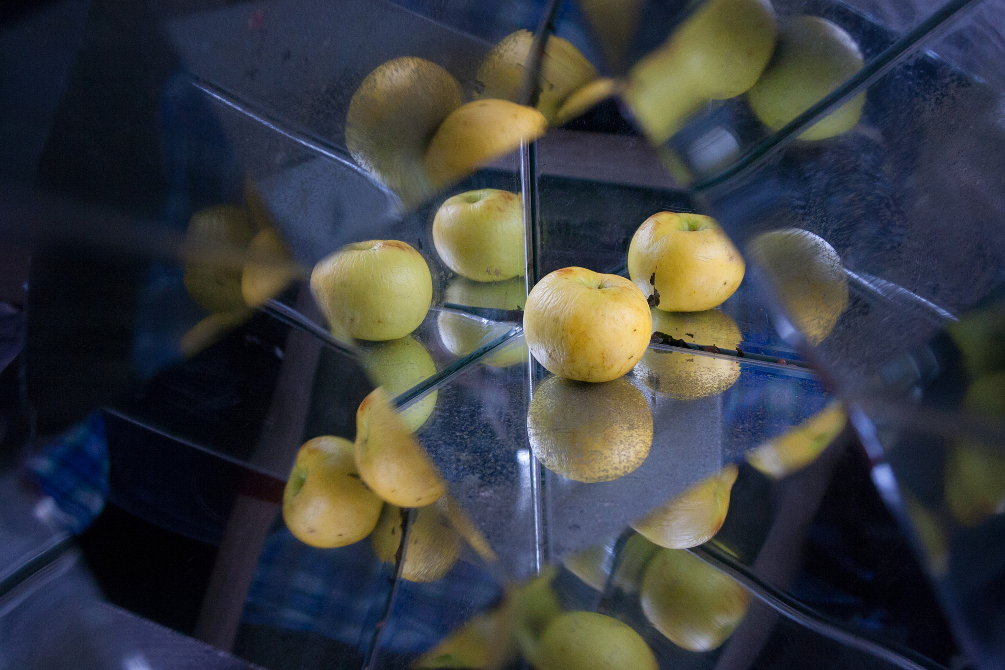 Sigma 17-70mm F2.8-4 DC Macro OS HSM sample photo. One apple. photography