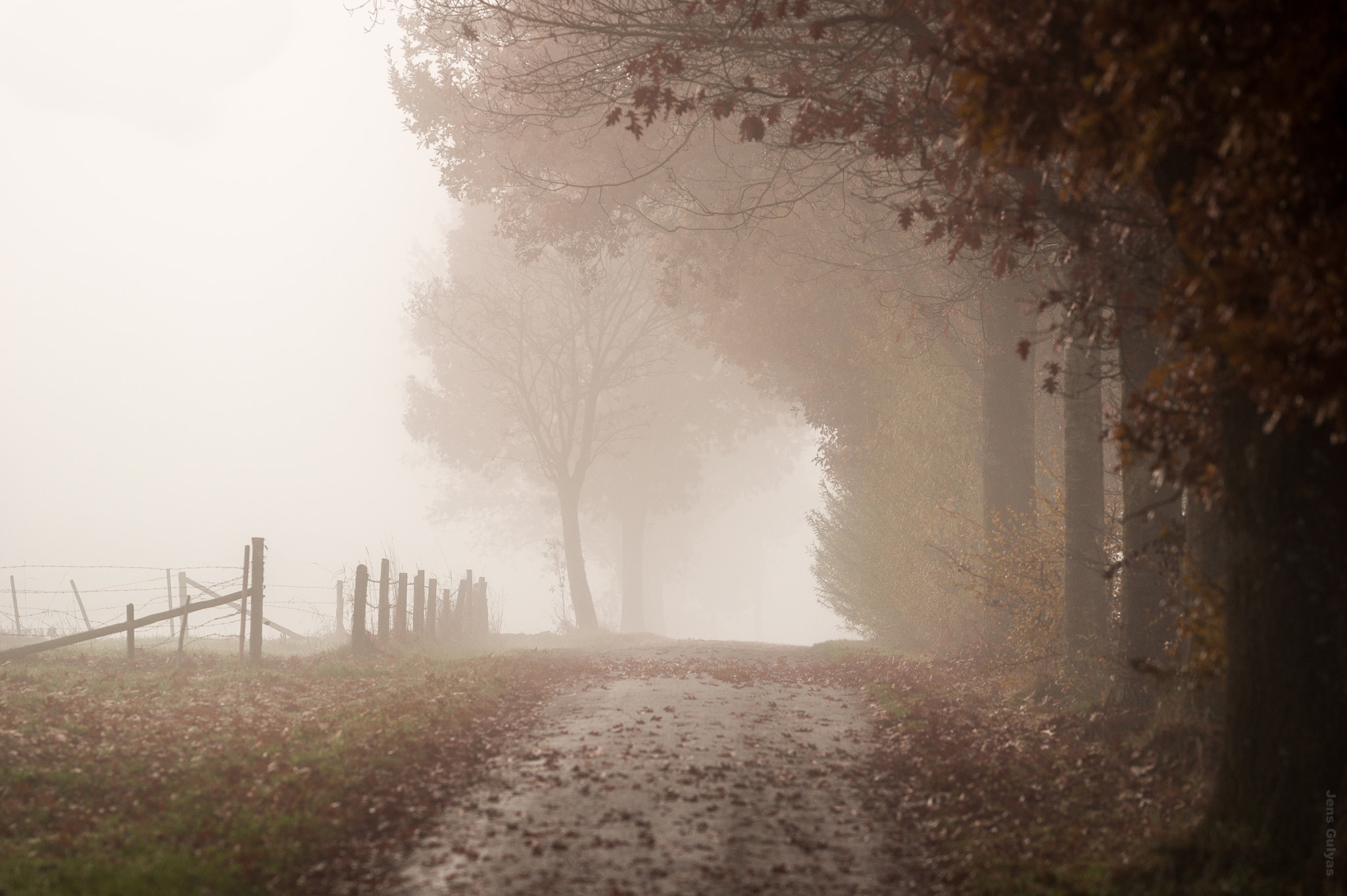 Pentax K-3 II + A Series Lens sample photo. A foggy day in november photography