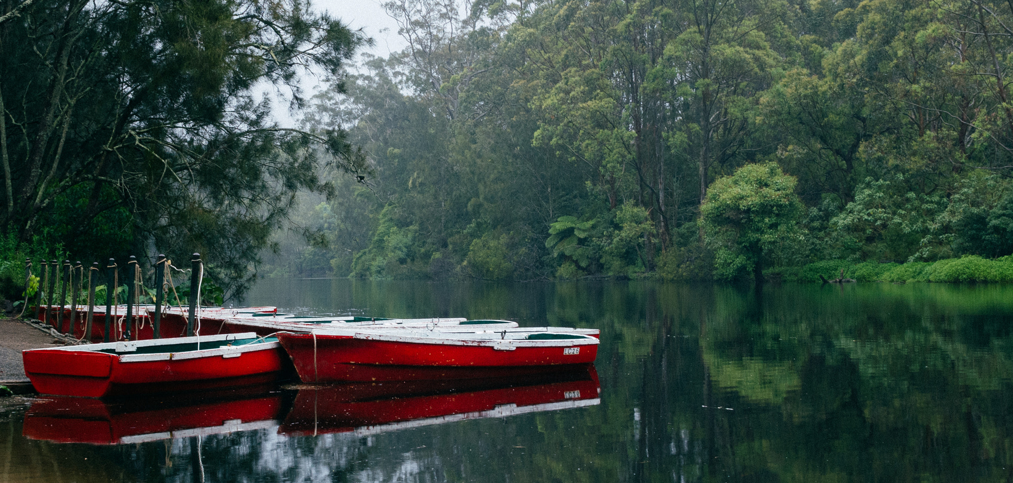 Nikon 1 V1 + Nikon 1 Nikkor 18.5mm F1.8 sample photo. Rowing boats in lane cove national park photography