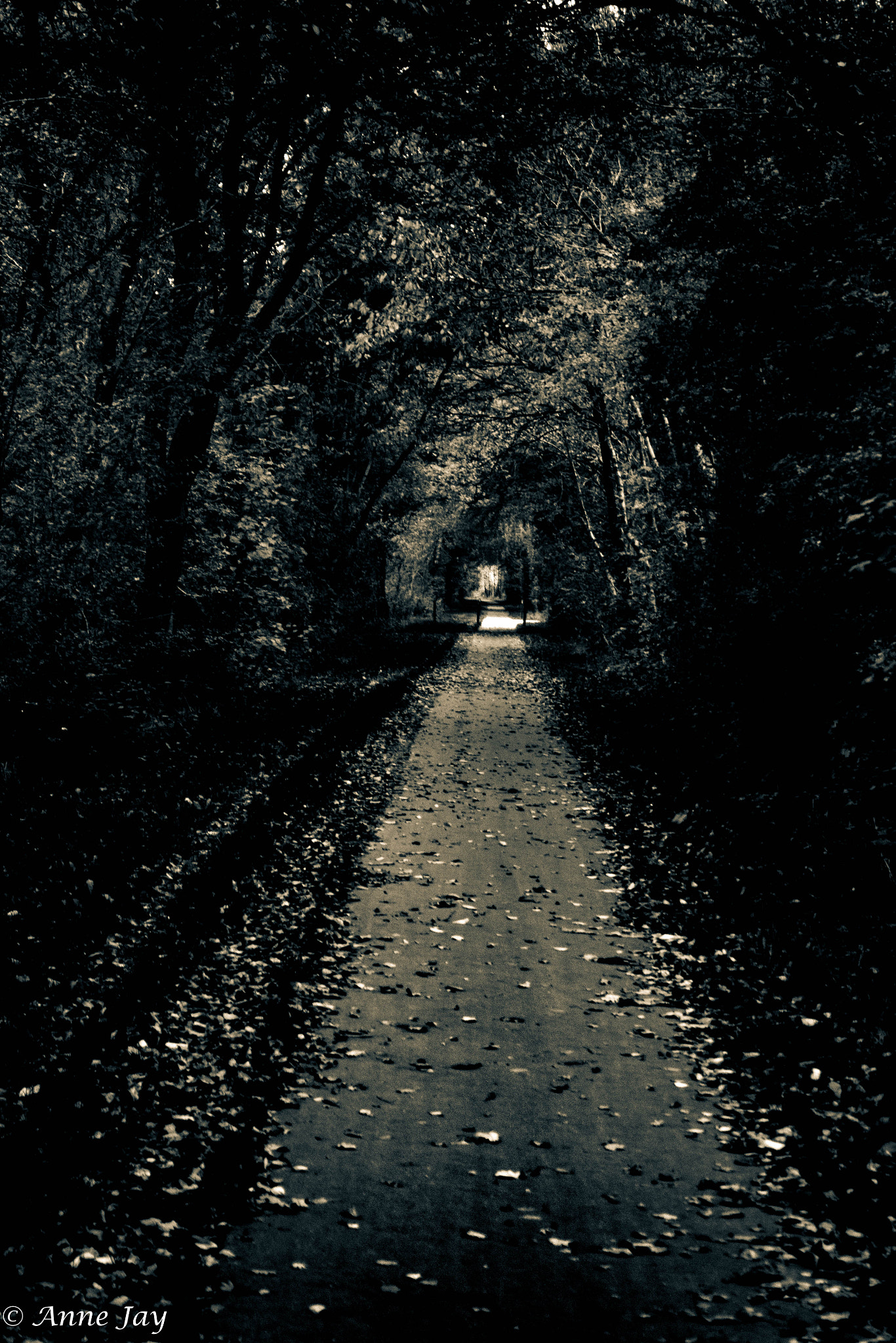 Canon EOS 70D + Sigma 18-50mm f/2.8 Macro sample photo. Road photography
