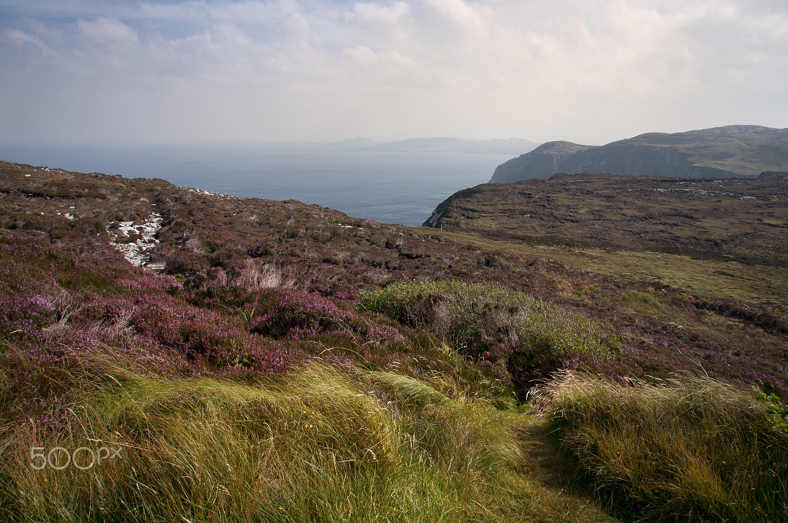 Sony SLT-A55 (SLT-A55V) sample photo. Ireland - bruyère iii photography