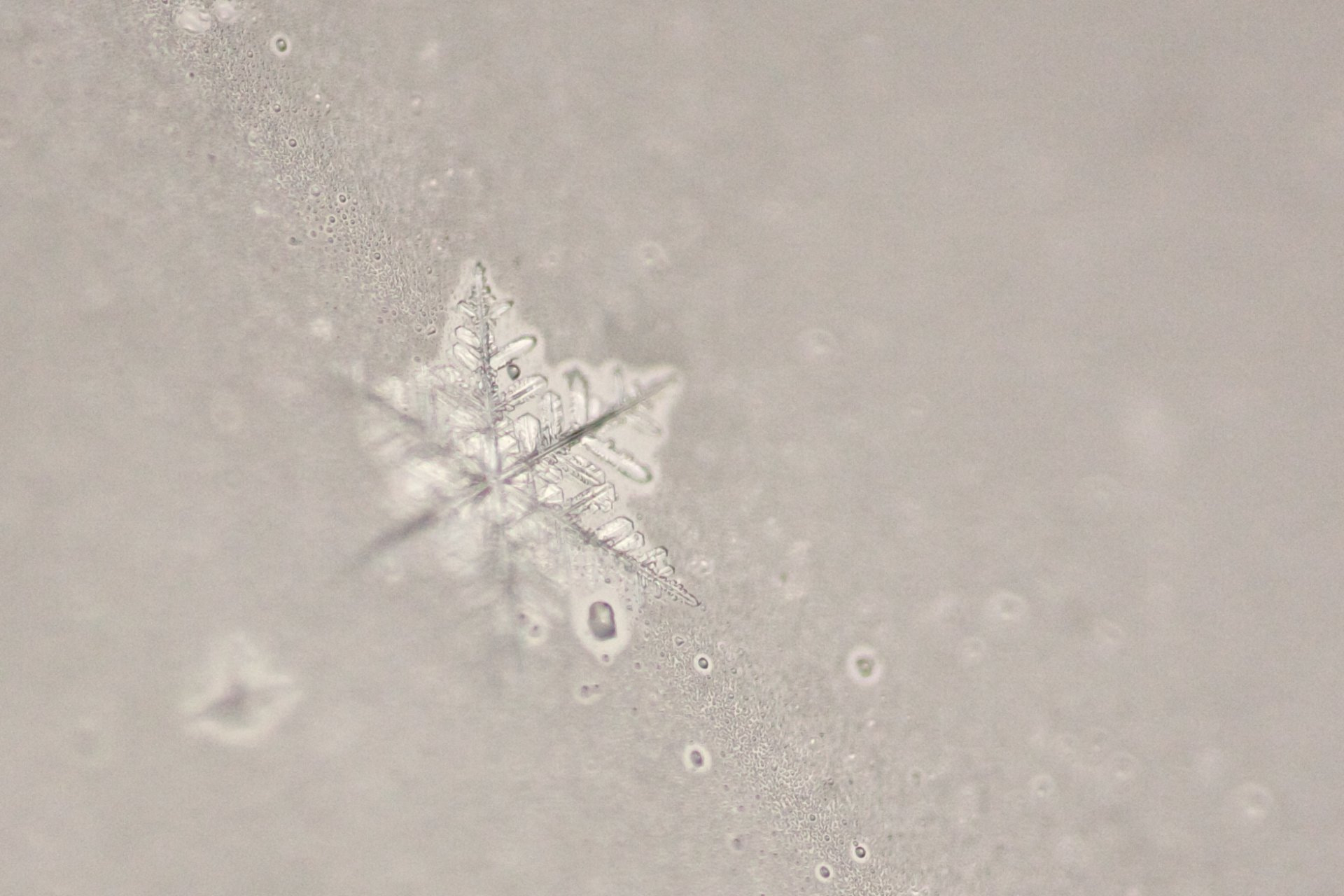 Canon EF 180mm F3.5L Macro USM sample photo. Melting snowflake photography