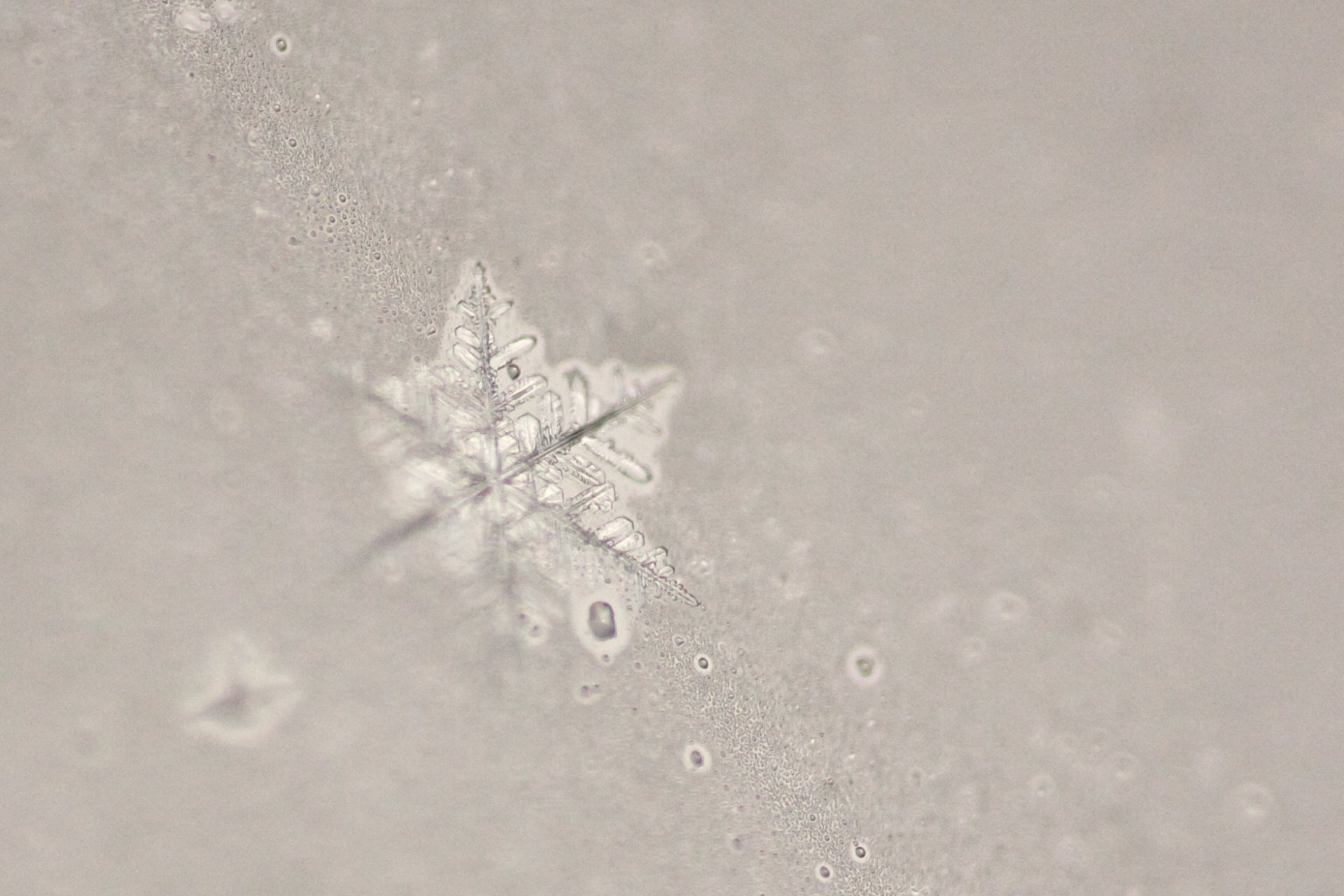 Canon EOS 40D + Canon EF 180mm F3.5L Macro USM sample photo. Melting snowflake photography