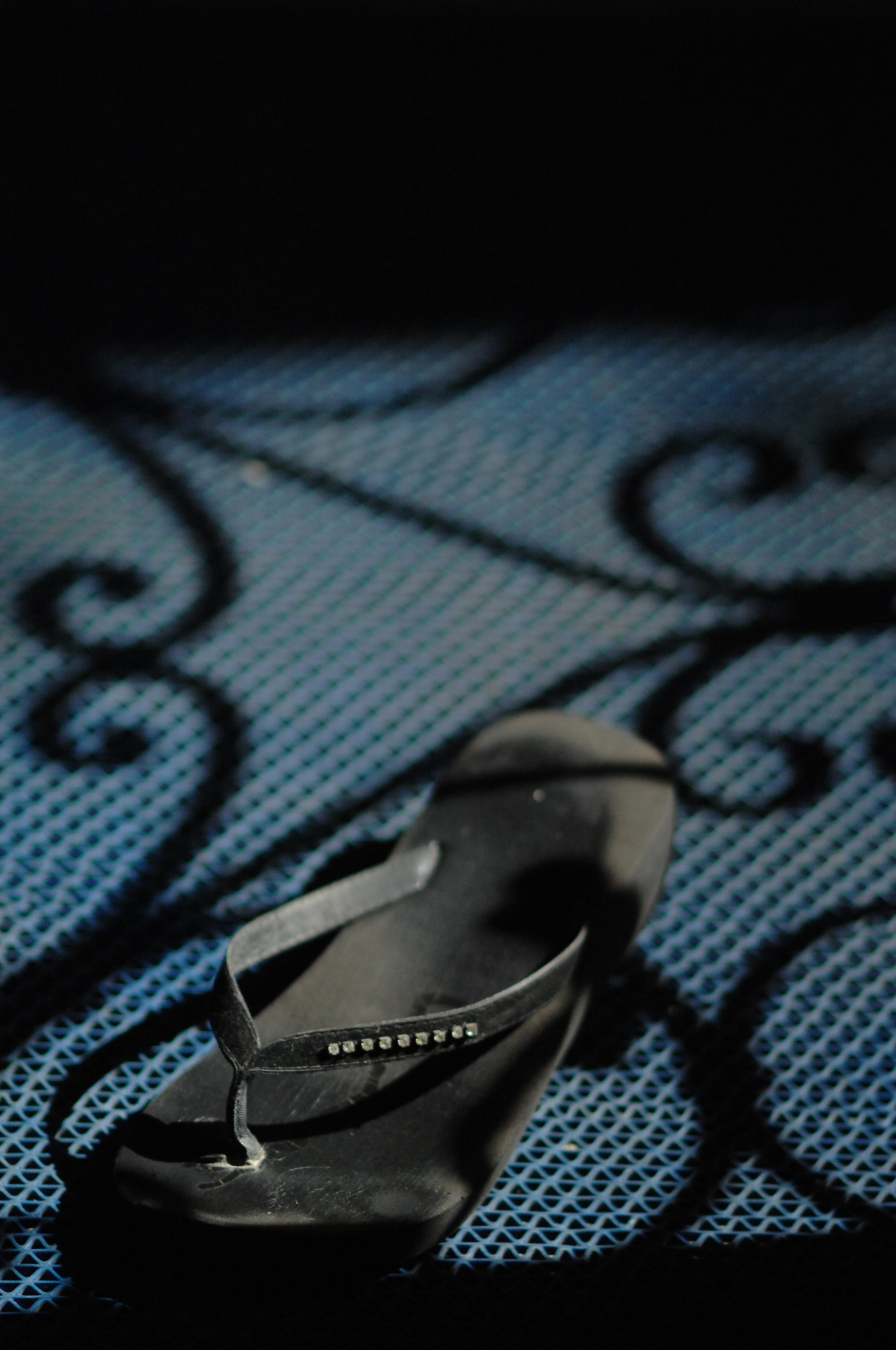 Nikon AF Nikkor 105mm F2D DC sample photo. .. photography