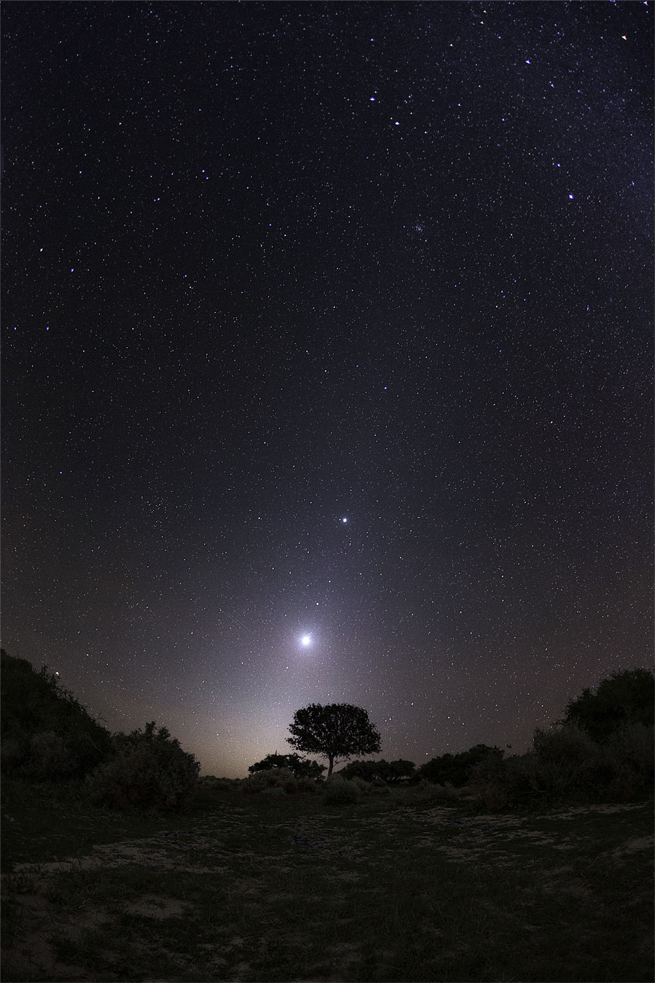 Sigma 15mm f/2.8 EX Fisheye sample photo. Zodiacal light and planets photography