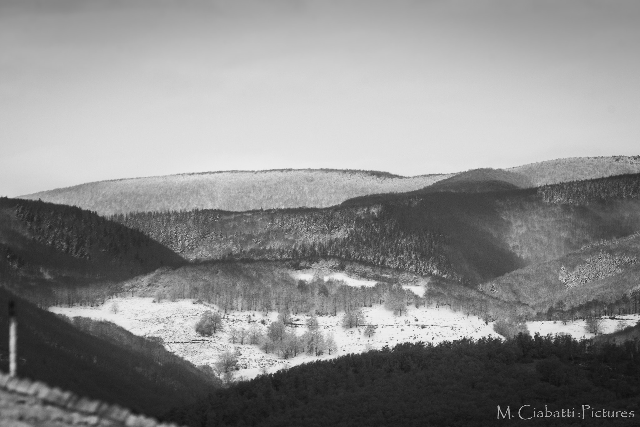 Canon EOS-1D Mark III sample photo. First snow photography