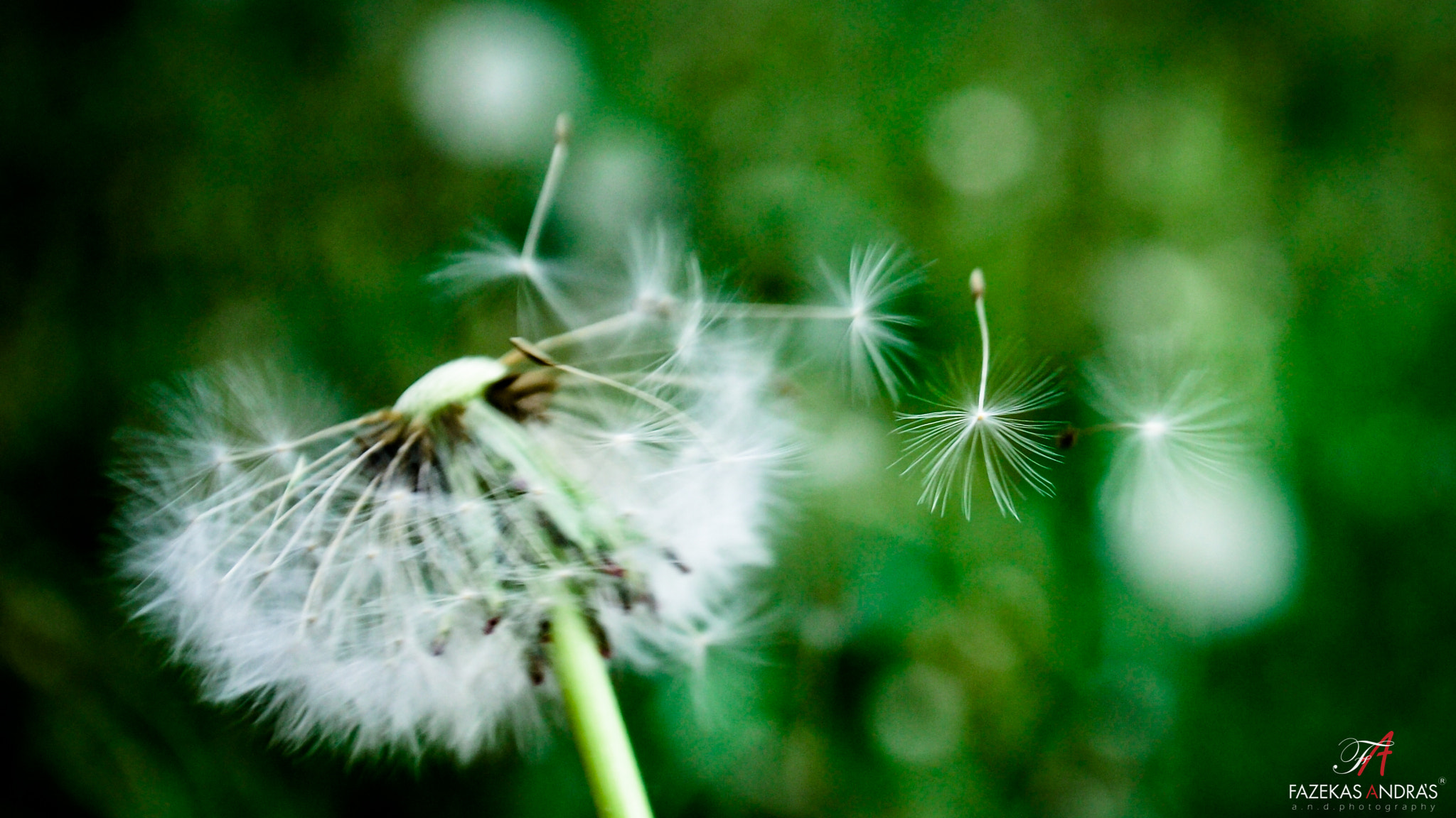 Sigma 18-50mm F2.8-4.5 DC OS HSM sample photo. Wind photography
