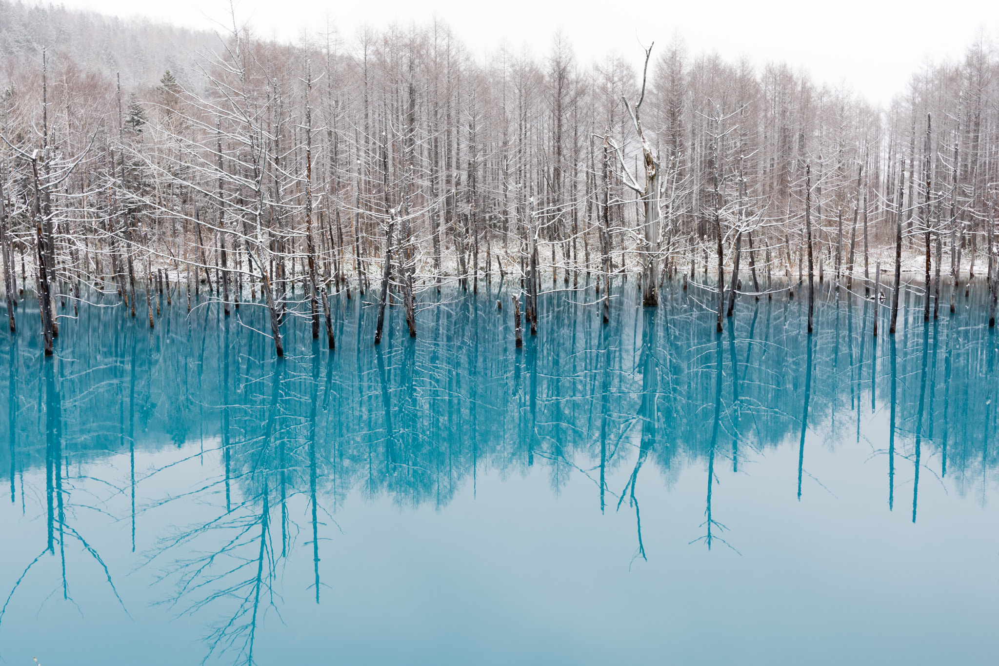 Nikon AF-S Nikkor 24-70mm F2.8E ED VR sample photo. Blue pond in winter photography
